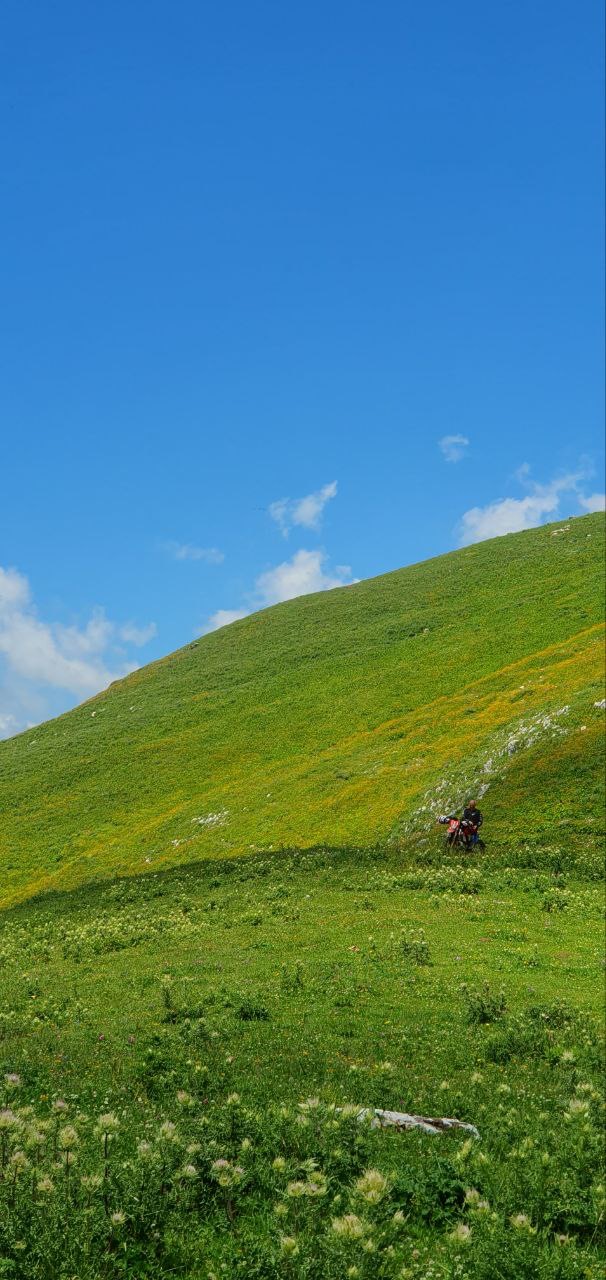Фото ЭКО-Глэмпинг БУНГАЛО 102