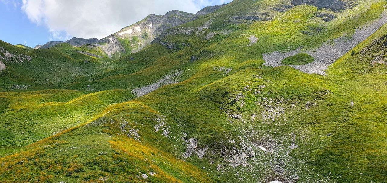 Фото ЭКО-Глэмпинг БУНГАЛО 135