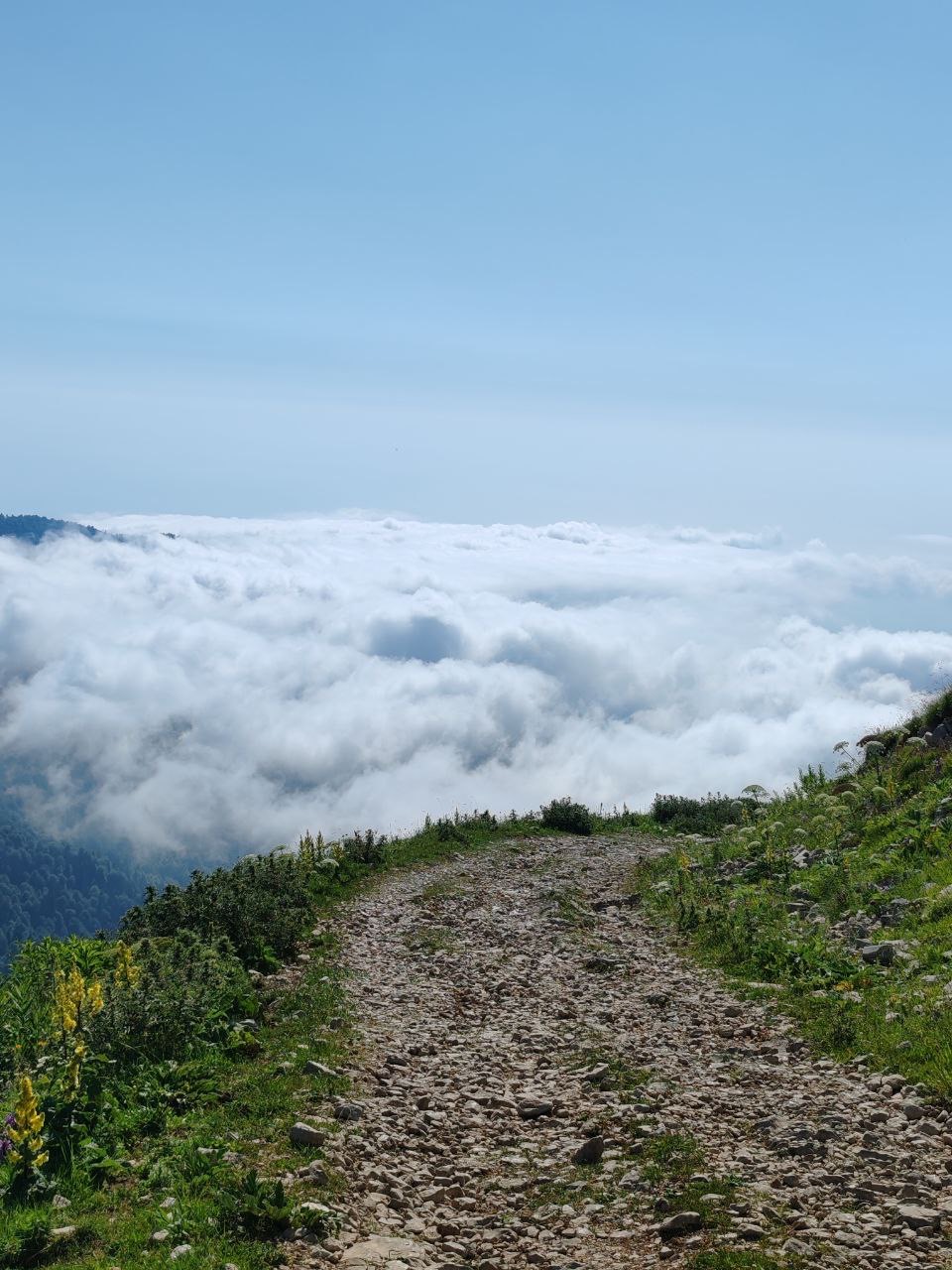 Фото ЭКО-Глэмпинг БУНГАЛО 177