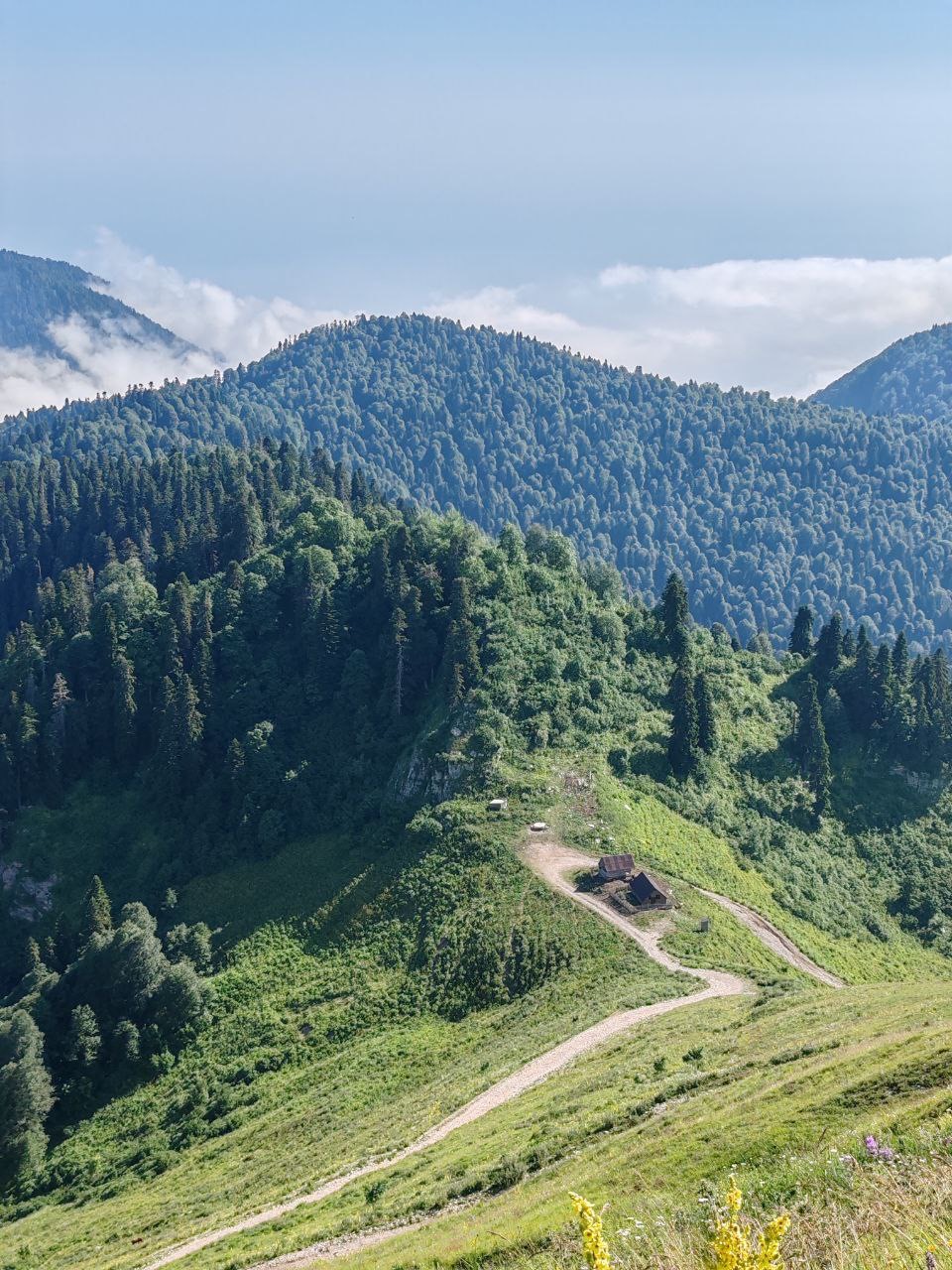 Фото ЭКО-Глэмпинг БУНГАЛО 119