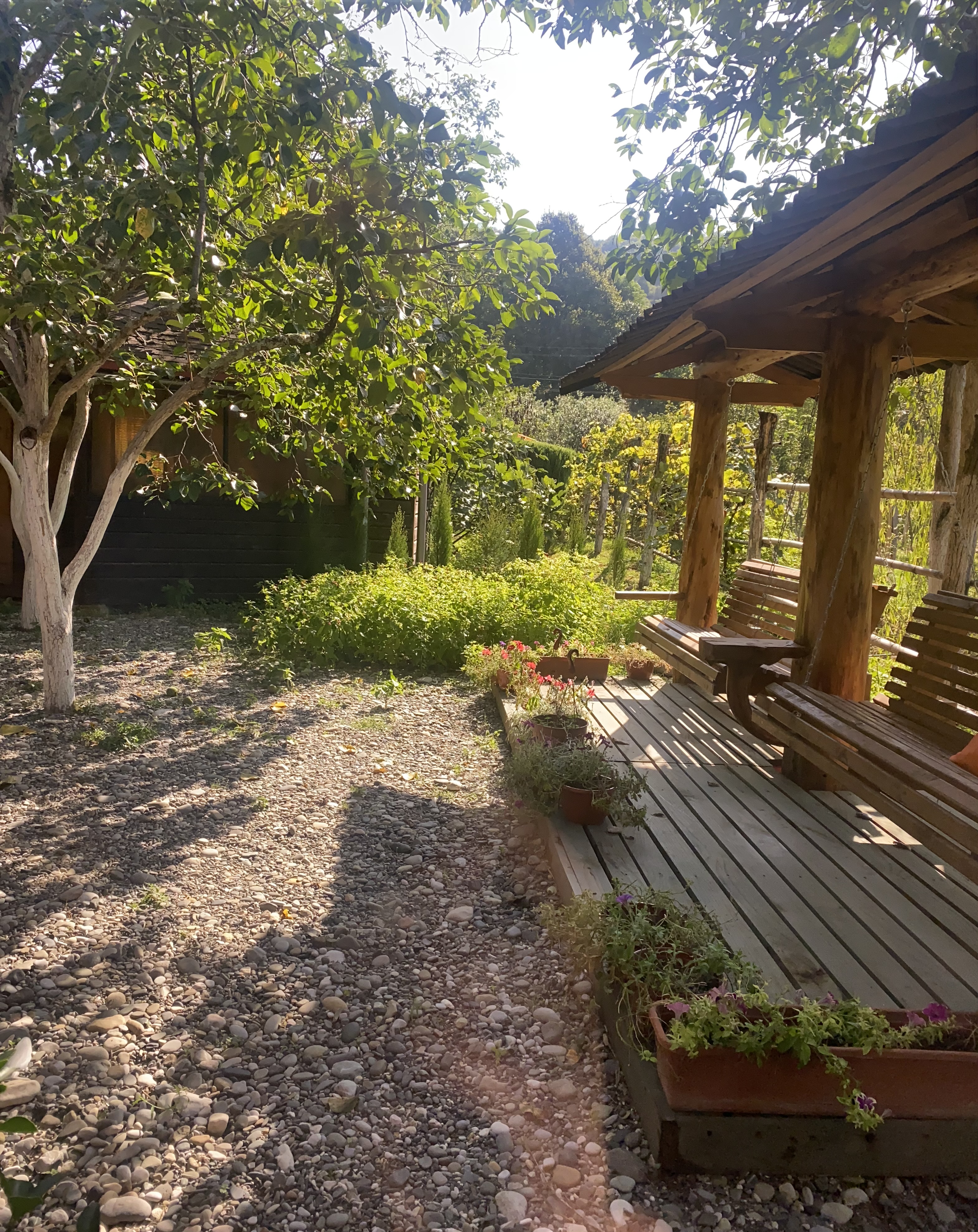 Фото ЭКО-Глэмпинг БУНГАЛО 42