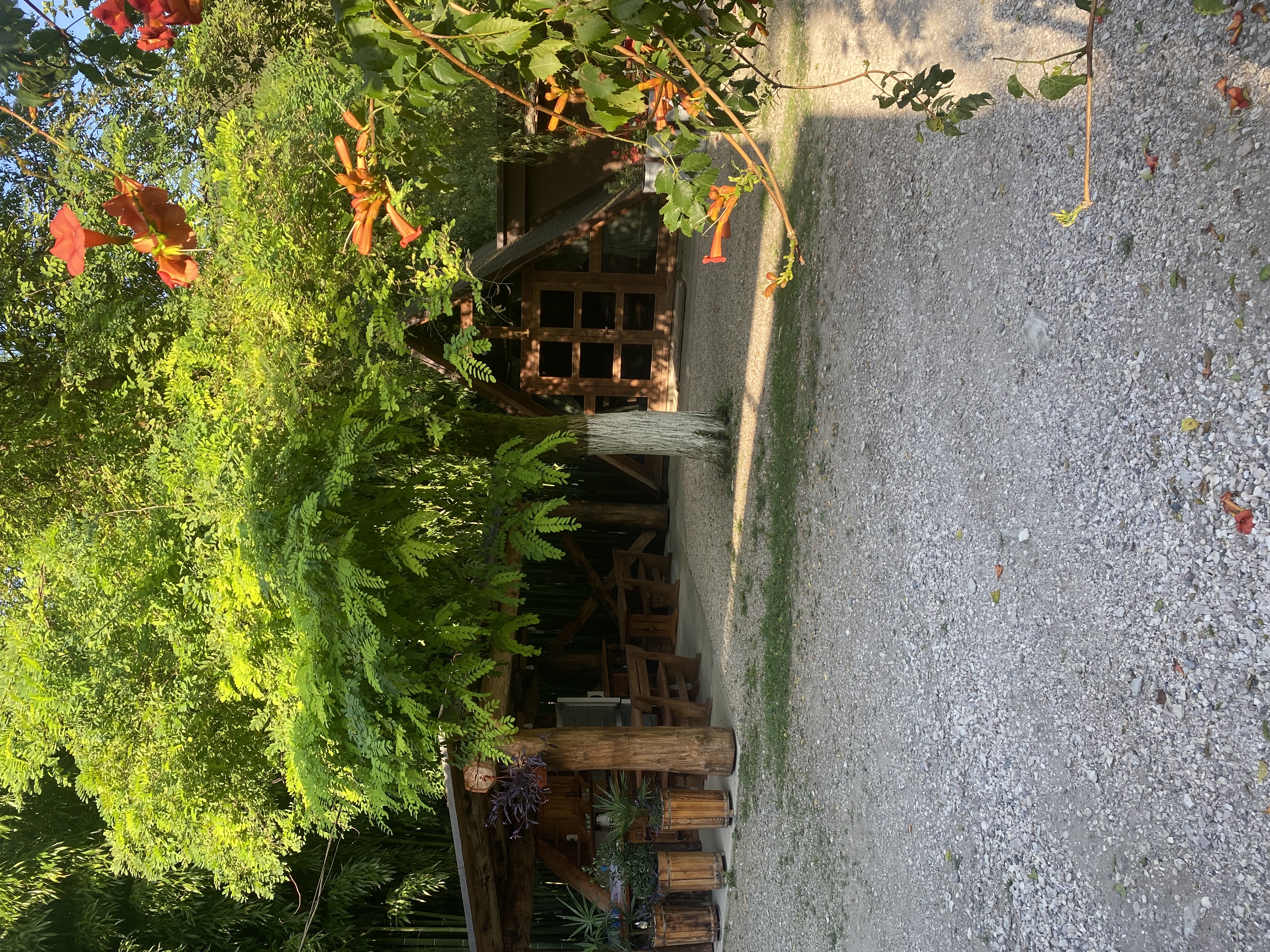 Фото ЭКО-Глэмпинг БУНГАЛО 137