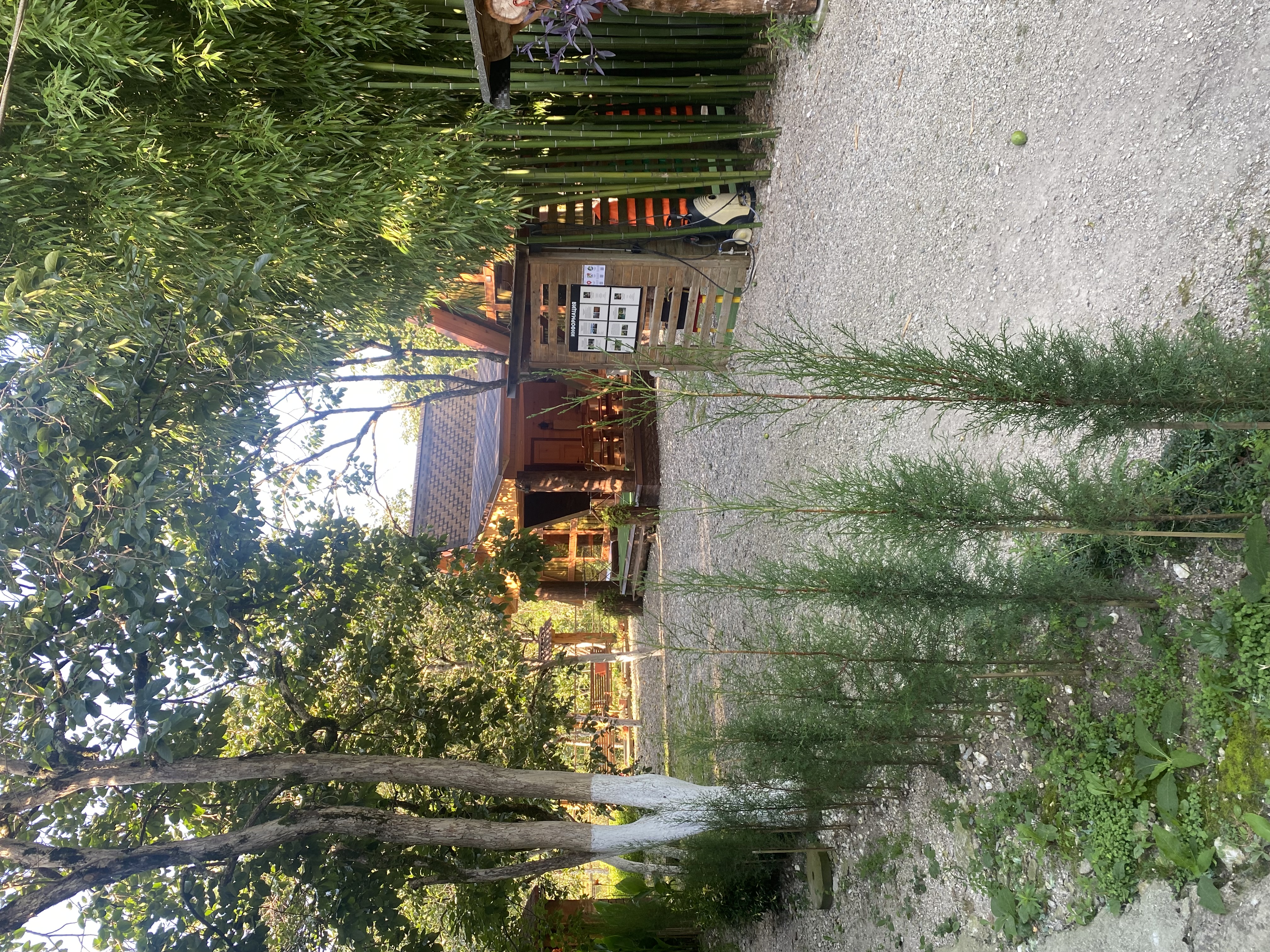 Фото ЭКО-Глэмпинг БУНГАЛО 110