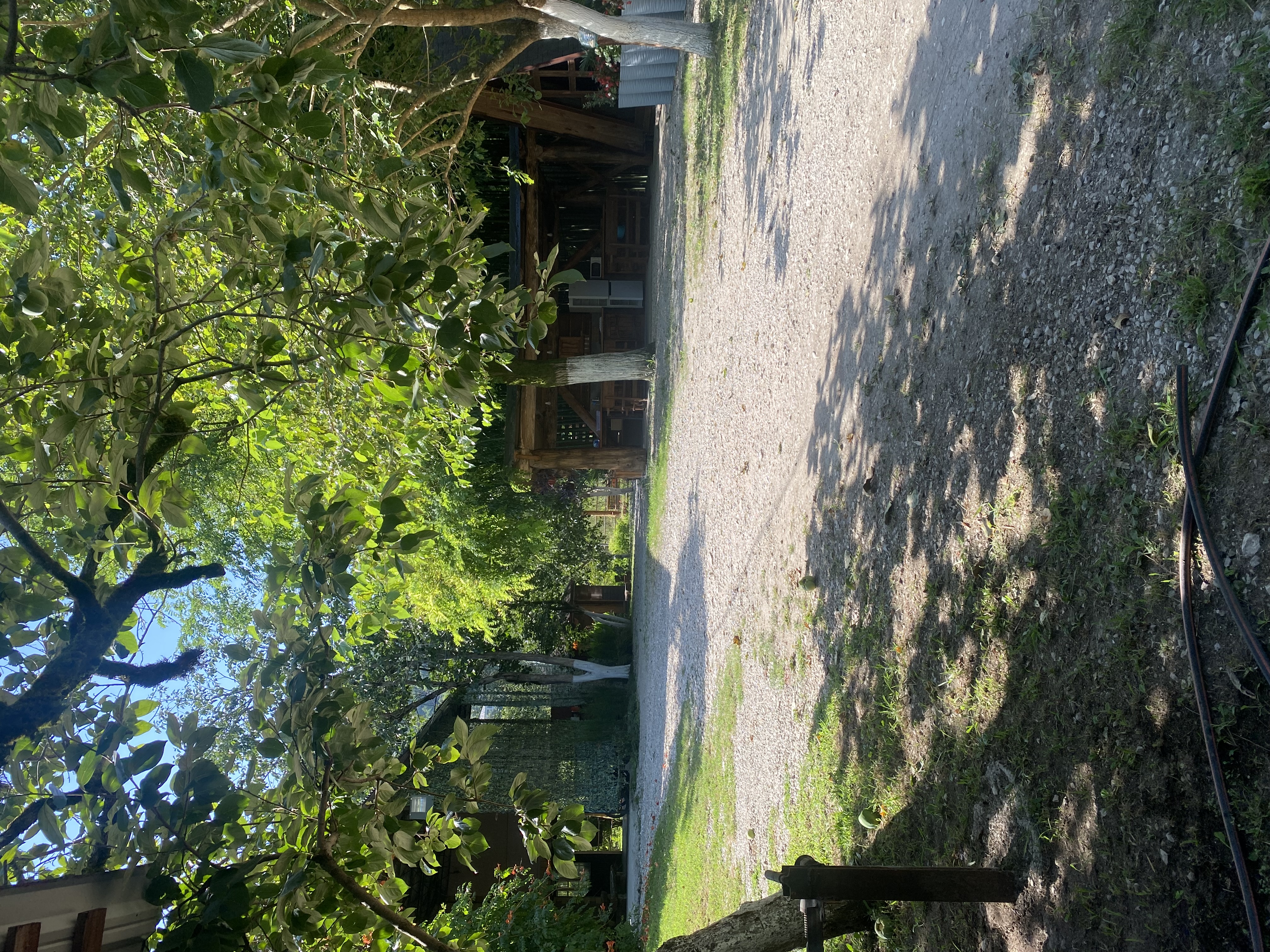 Фото ЭКО-Глэмпинг БУНГАЛО 111