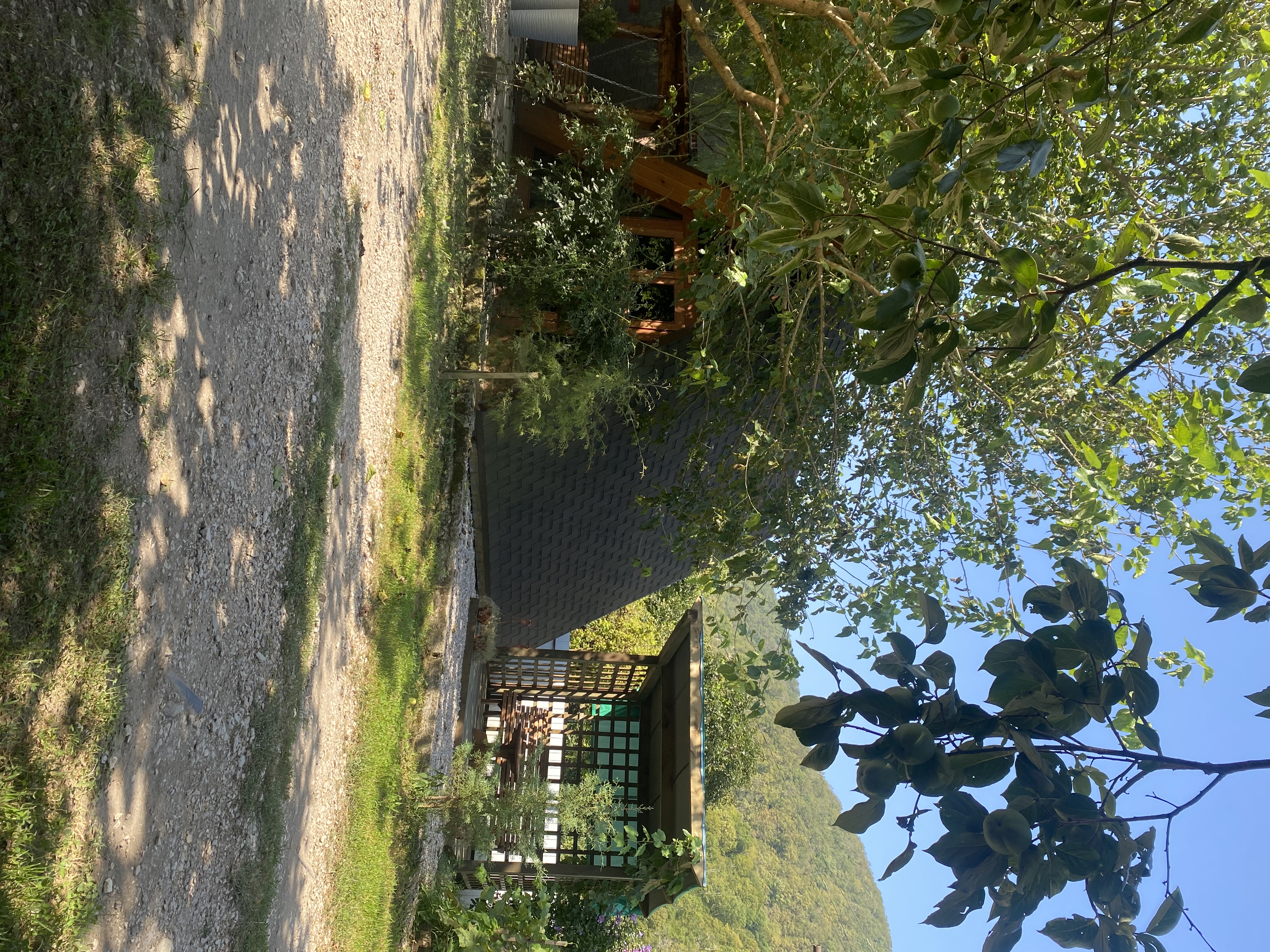 Фото ЭКО-Глэмпинг БУНГАЛО 105