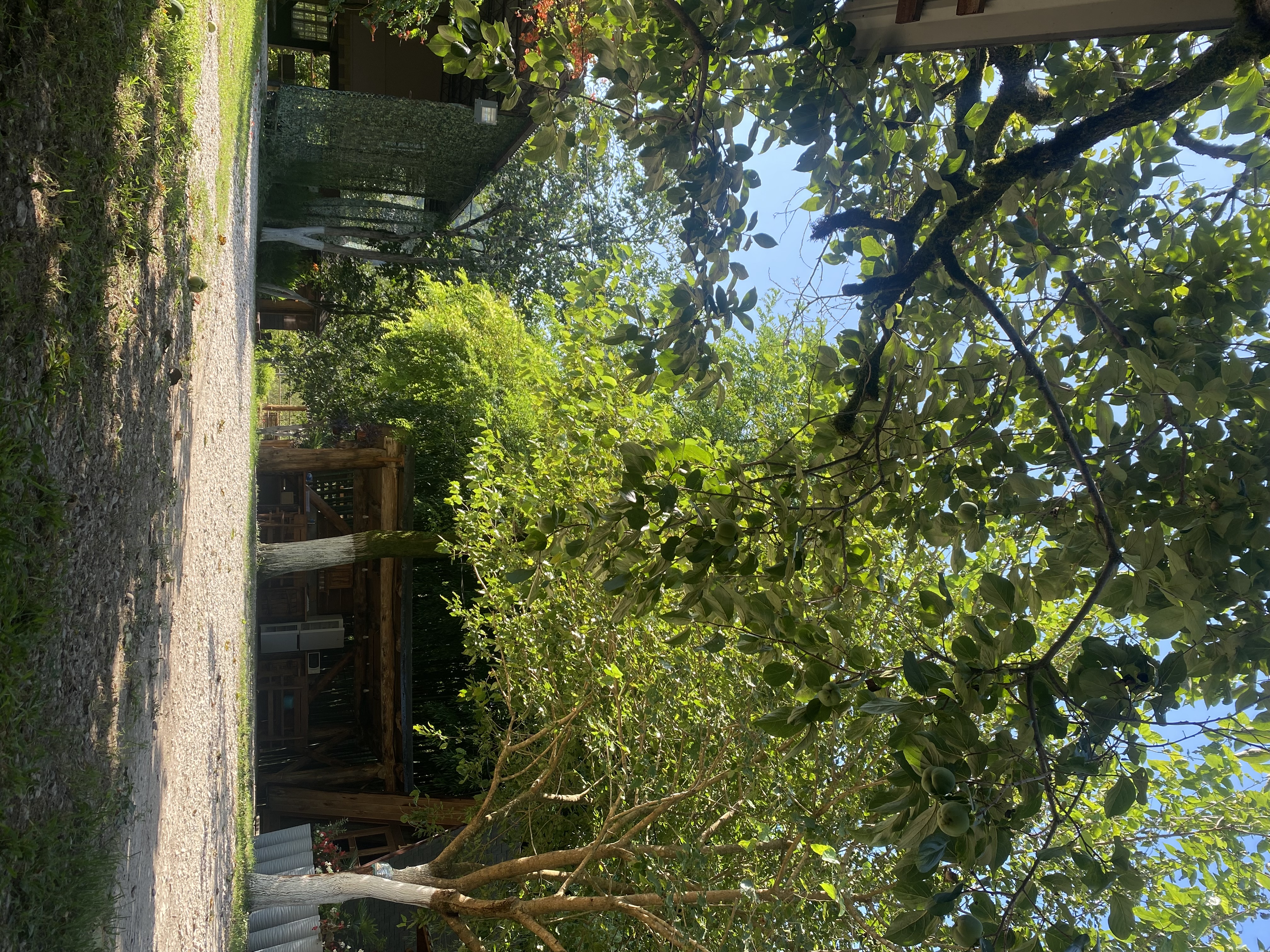 Фото ЭКО-Глэмпинг БУНГАЛО 69