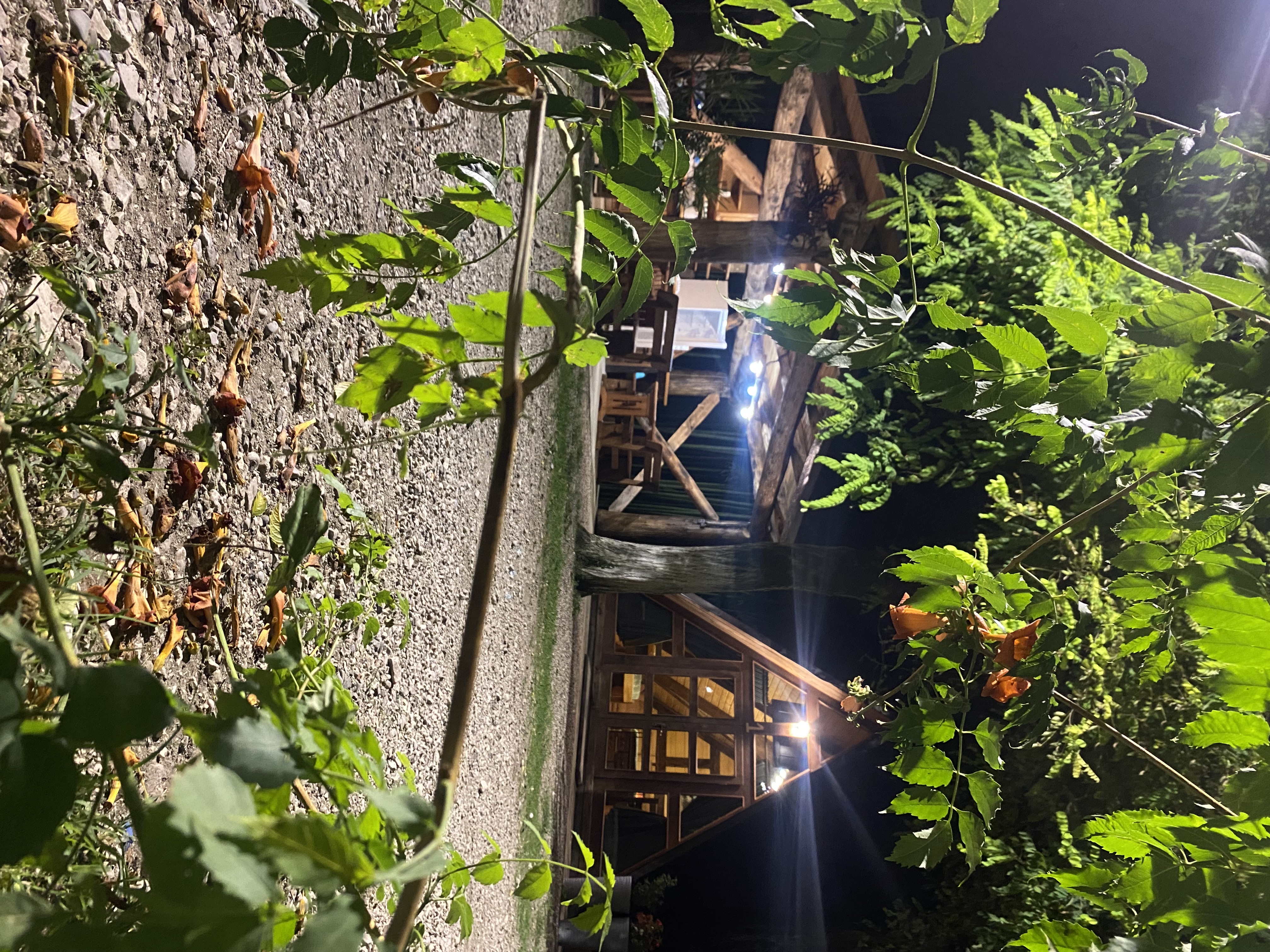 Фото ЭКО-Глэмпинг БУНГАЛО 108