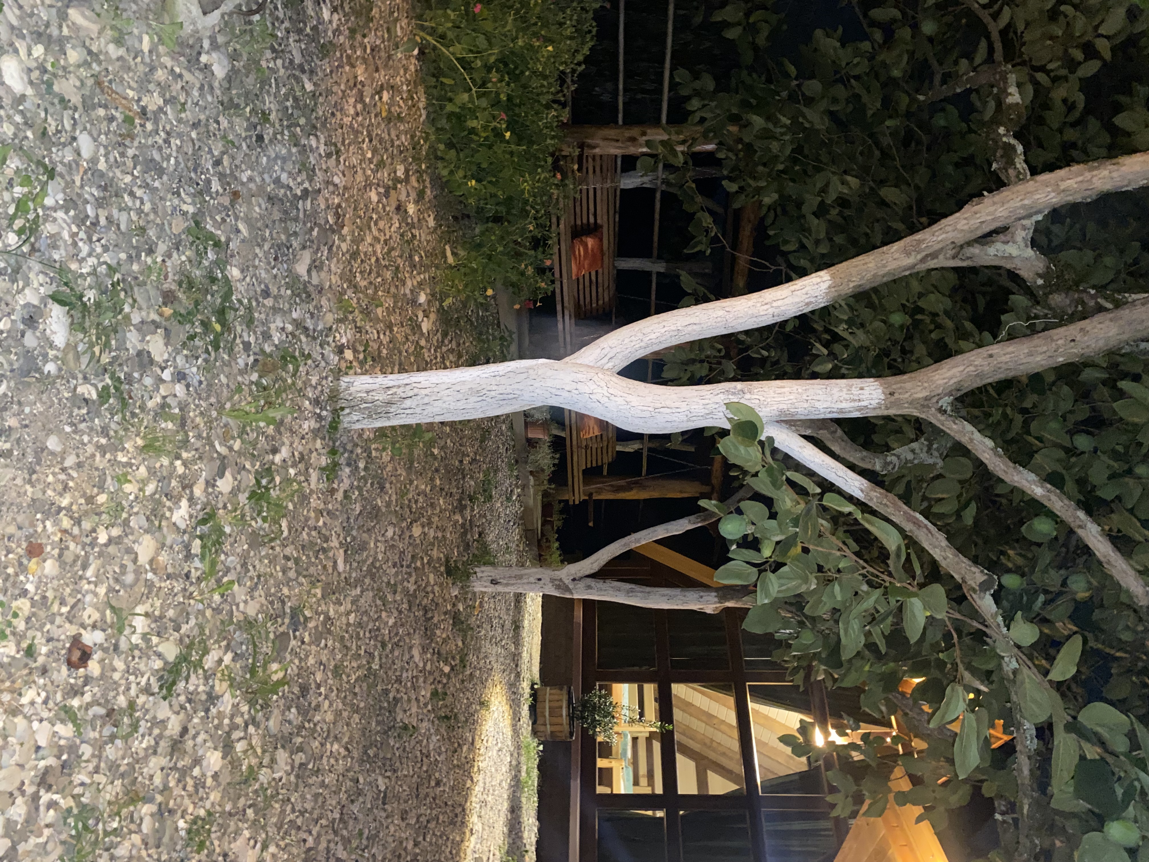 Фото ЭКО-Глэмпинг БУНГАЛО 70