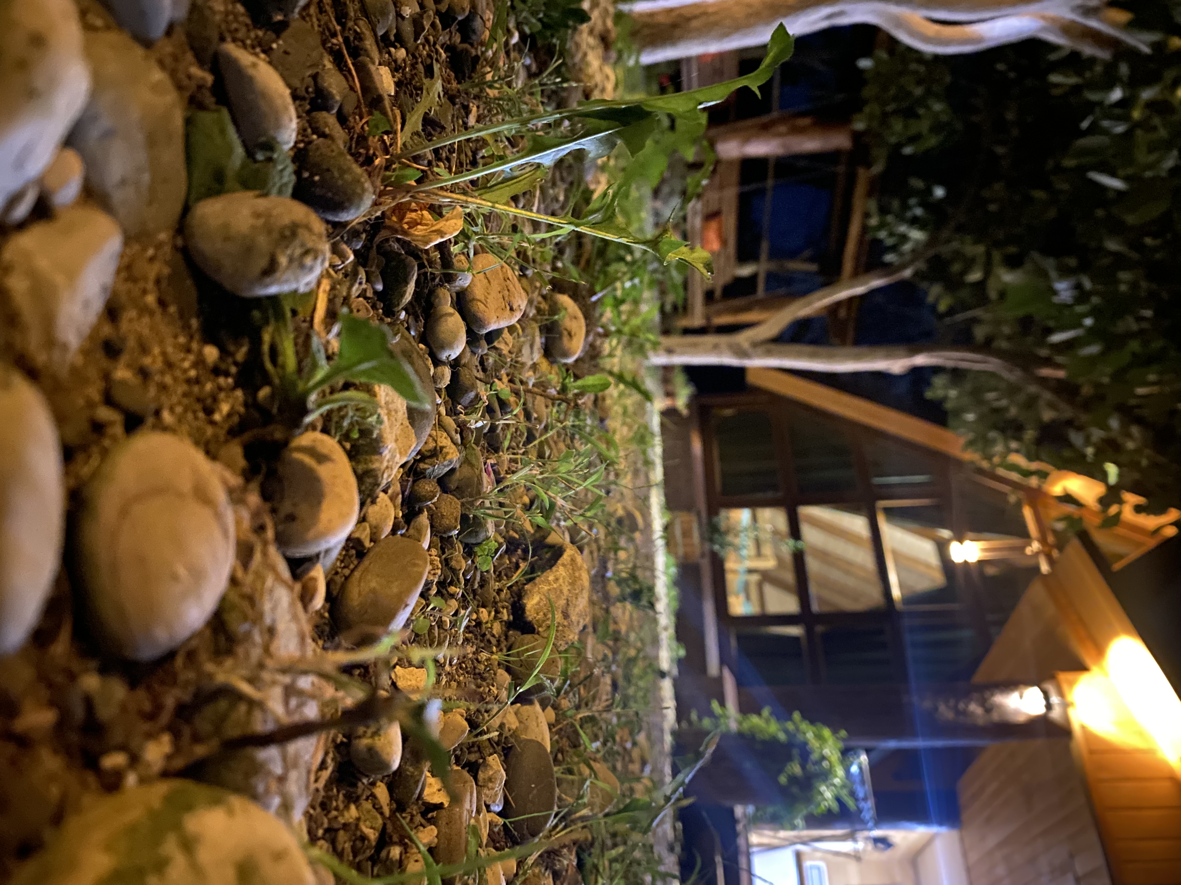 Фото ЭКО-Глэмпинг БУНГАЛО 71