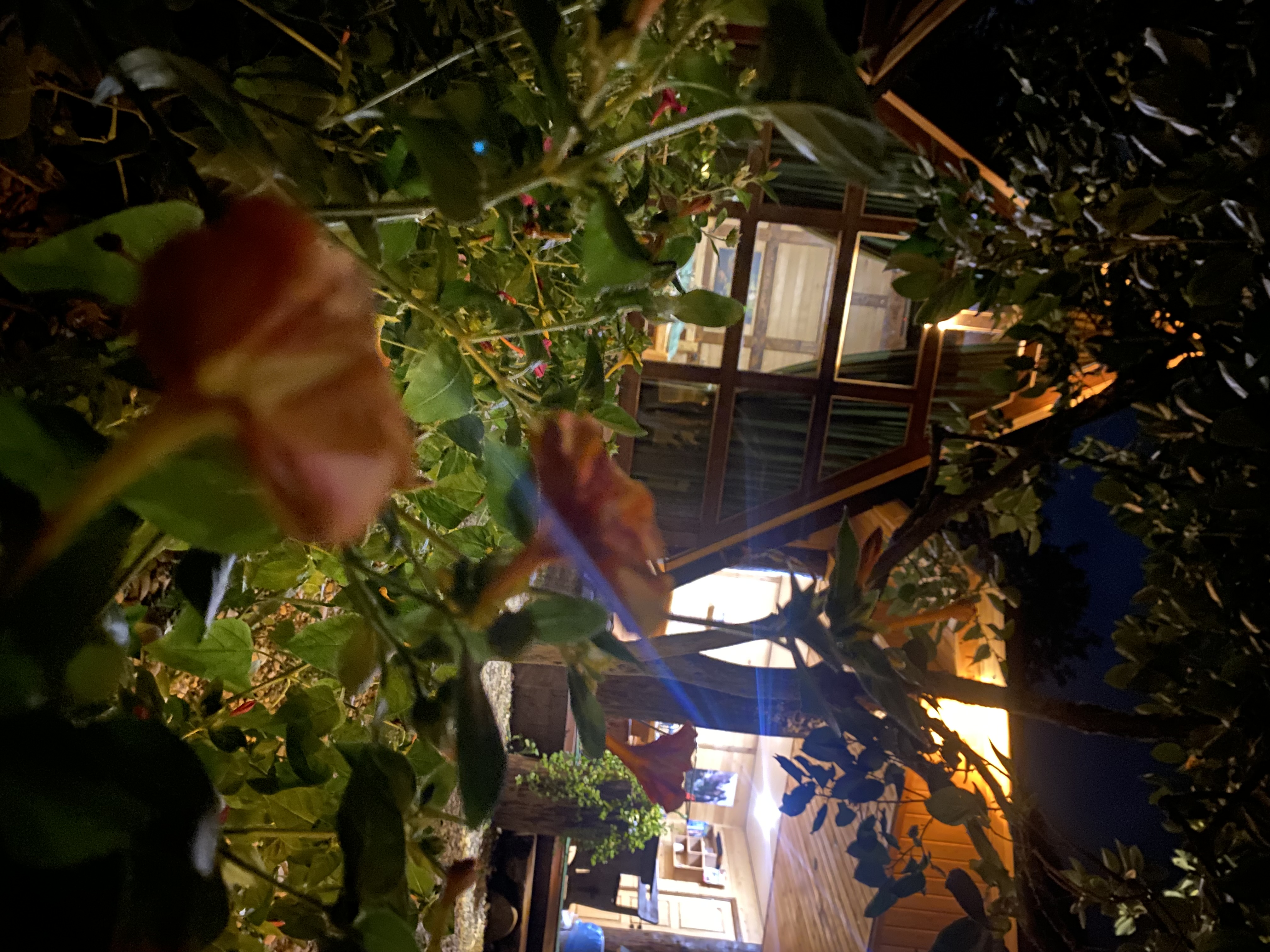 Фото ЭКО-Глэмпинг БУНГАЛО 72