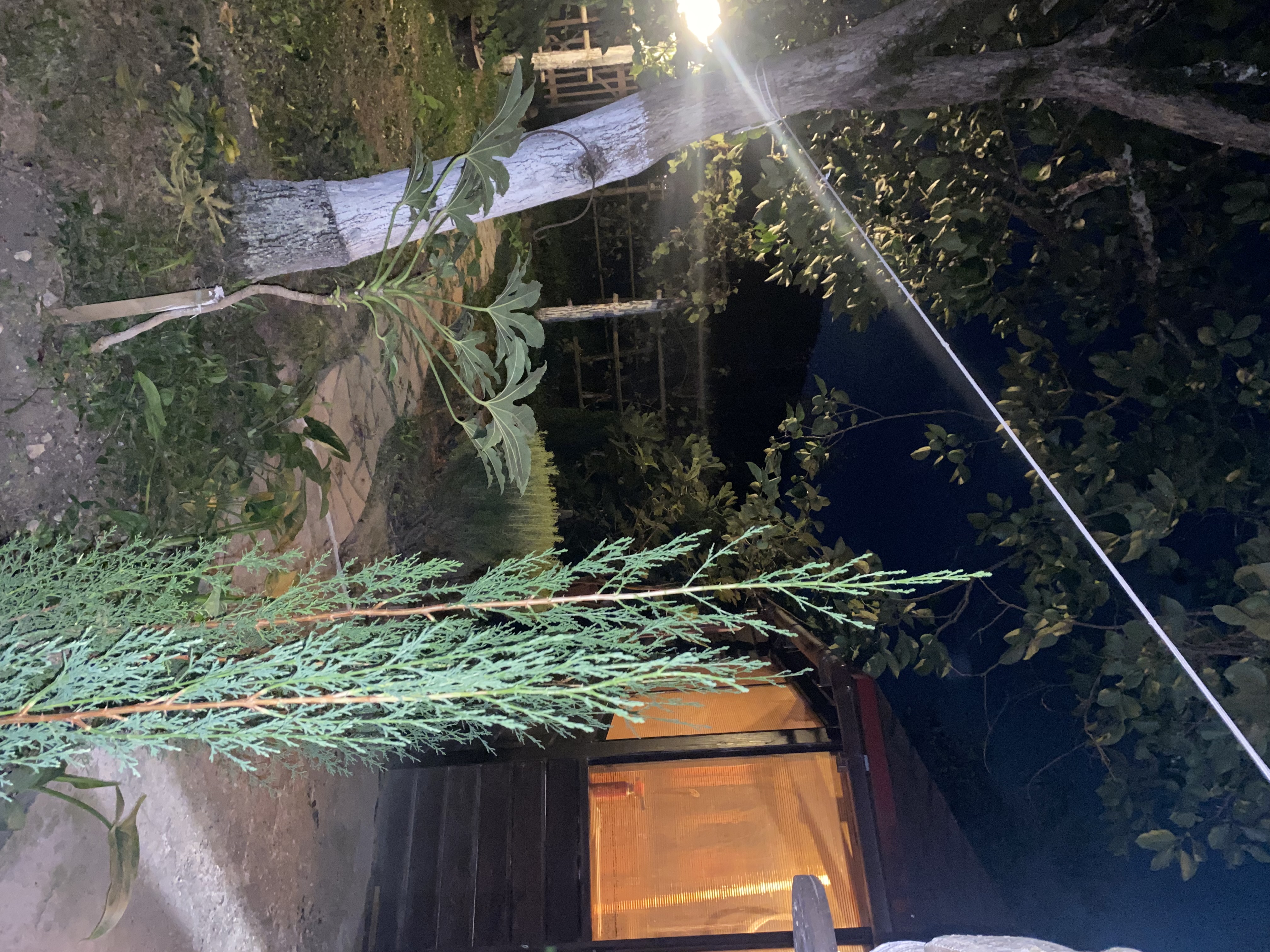 Фото ЭКО-Глэмпинг БУНГАЛО 123