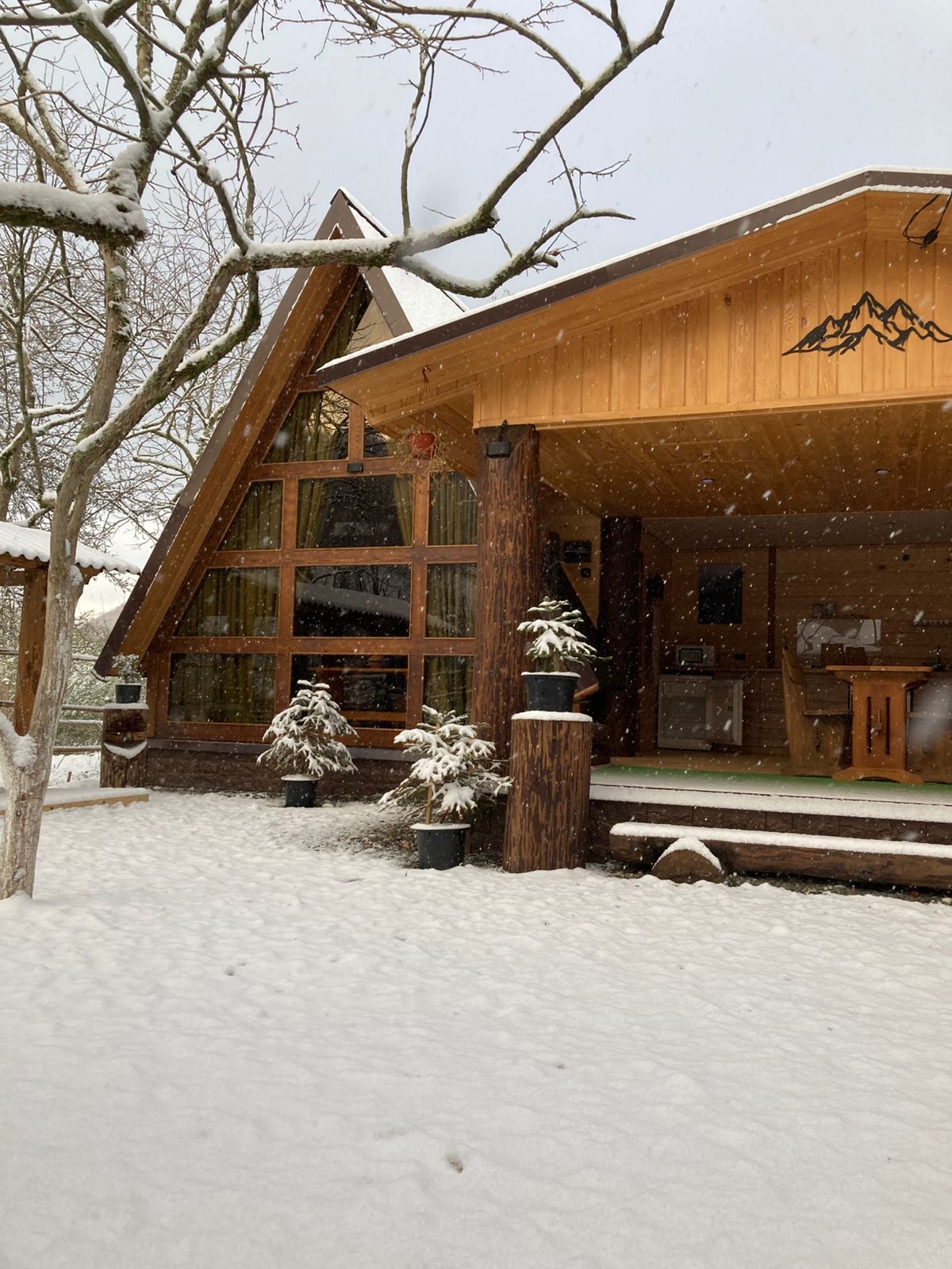 Фото ЭКО-Глэмпинг БУНГАЛО 127