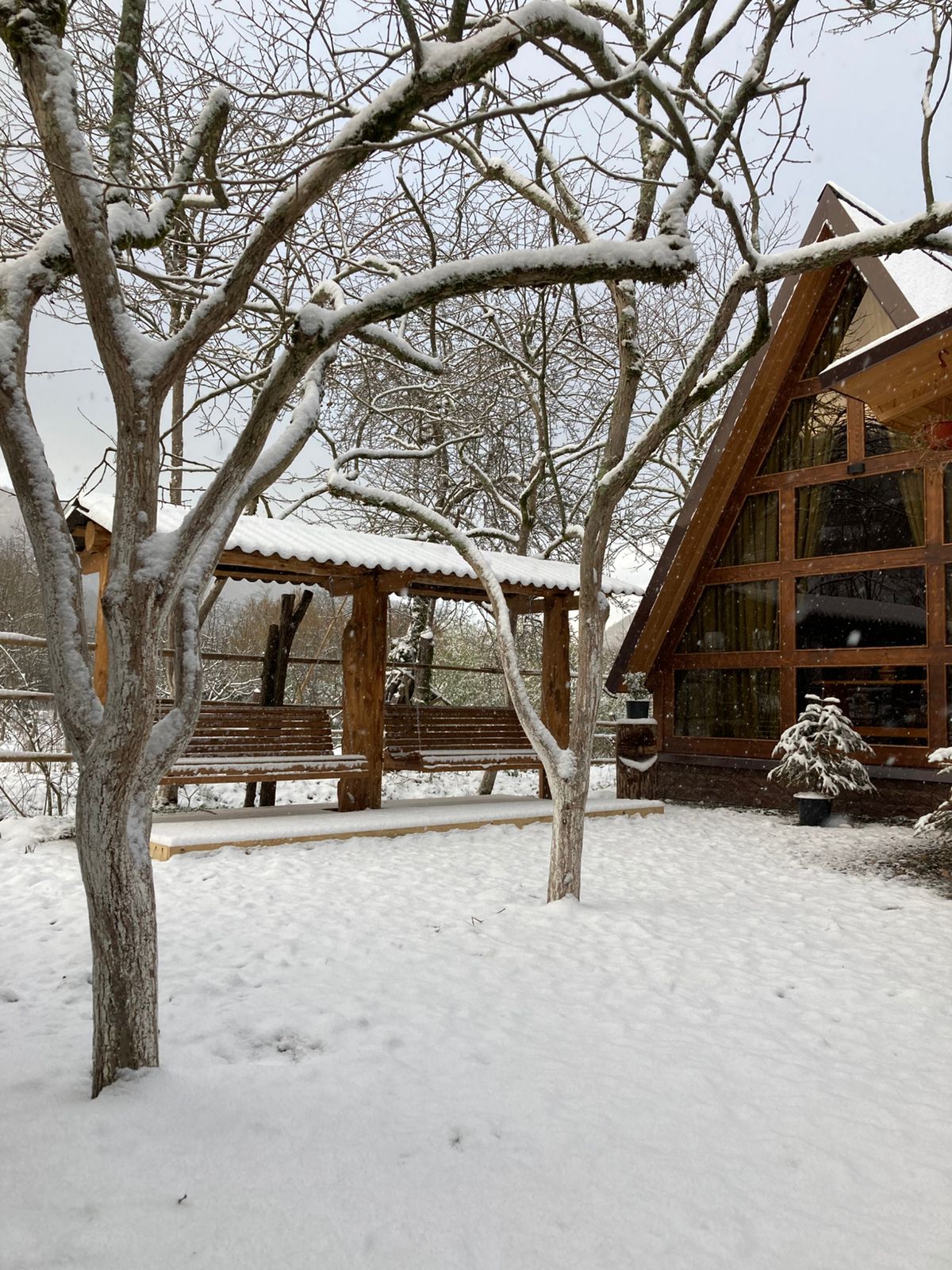 Фото ЭКО-Глэмпинг БУНГАЛО 76