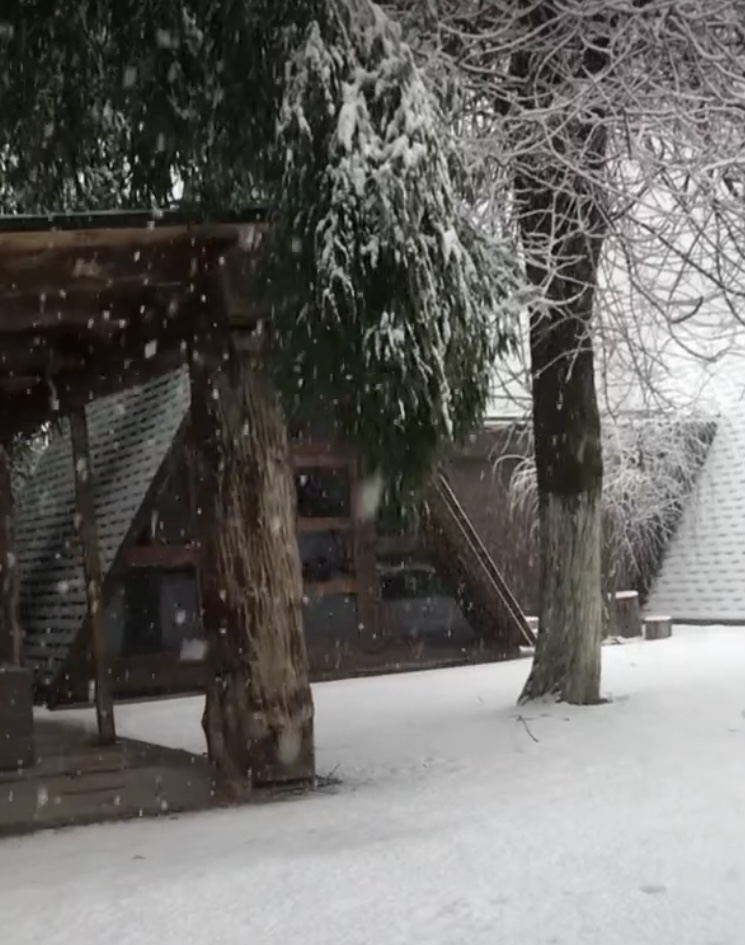 Фото ЭКО-Глэмпинг БУНГАЛО 138