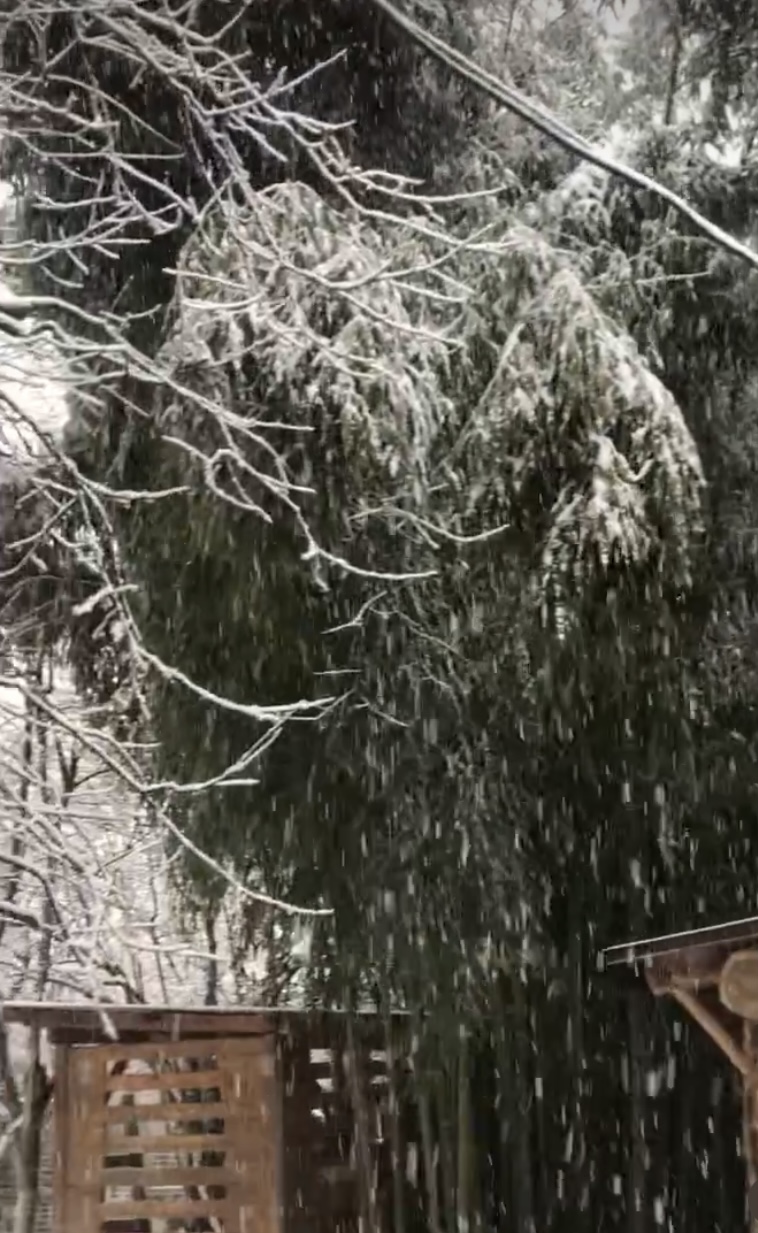 Фото ЭКО-Глэмпинг БУНГАЛО 75