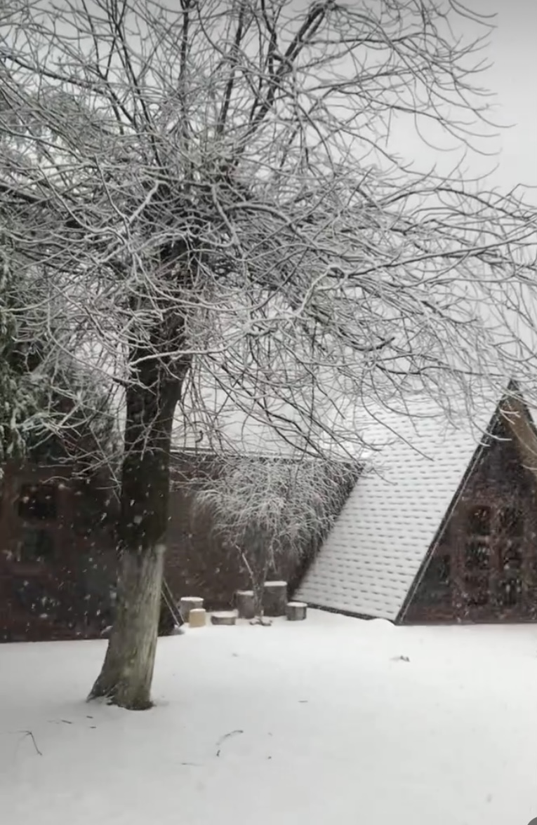 Фото ЭКО-Глэмпинг БУНГАЛО 140