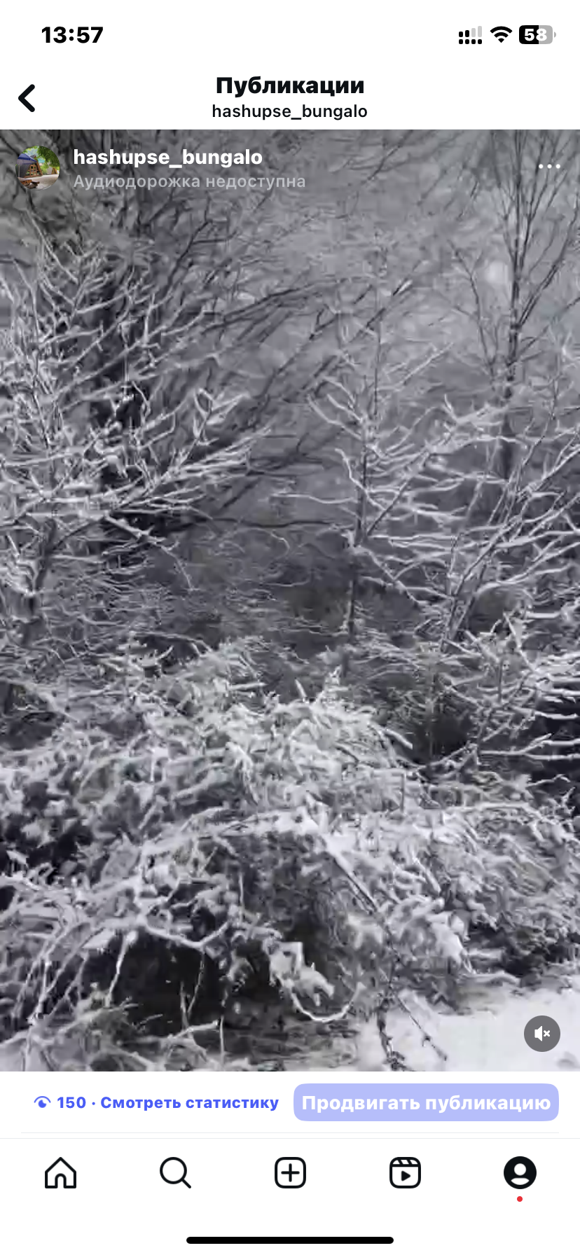 Фото ЭКО-Глэмпинг БУНГАЛО 141