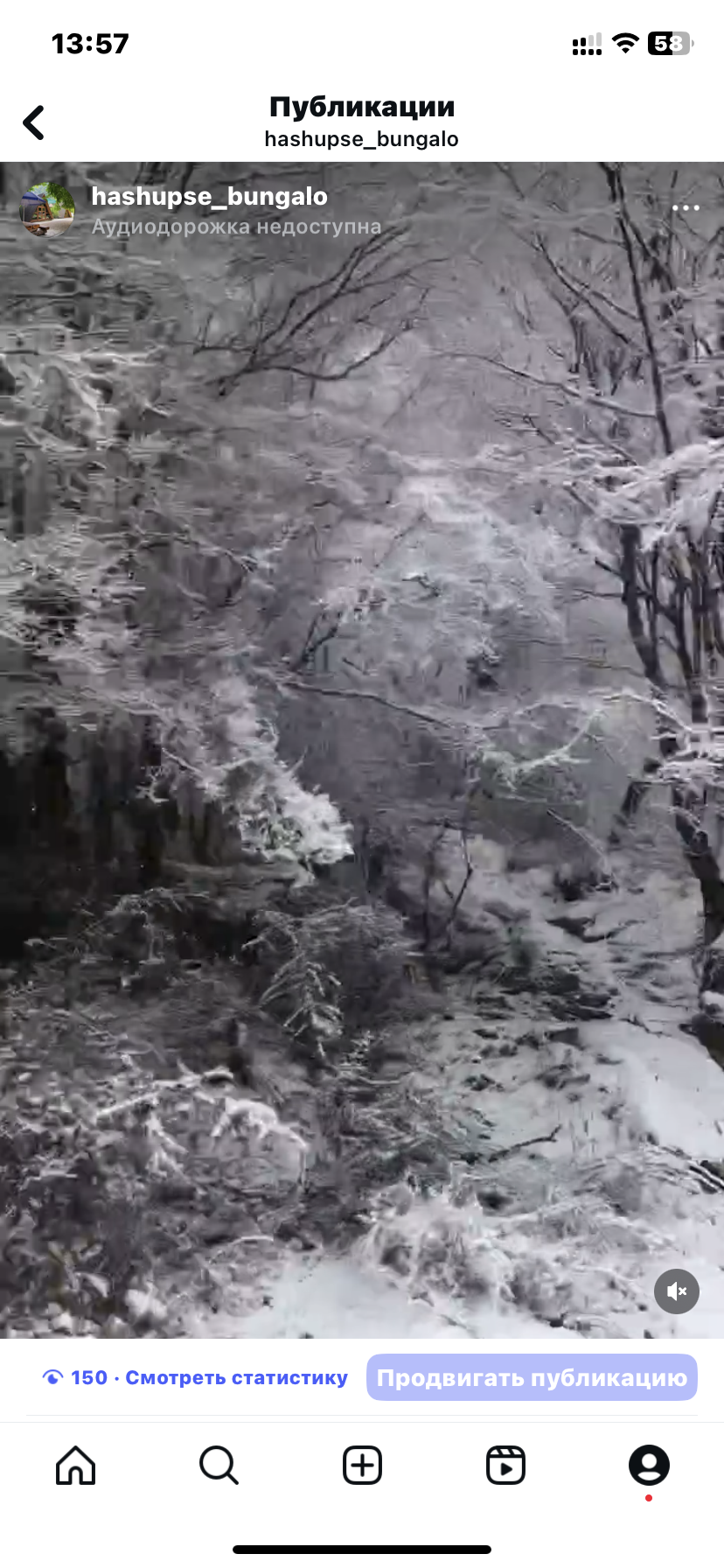 Фото ЭКО-Глэмпинг БУНГАЛО 128