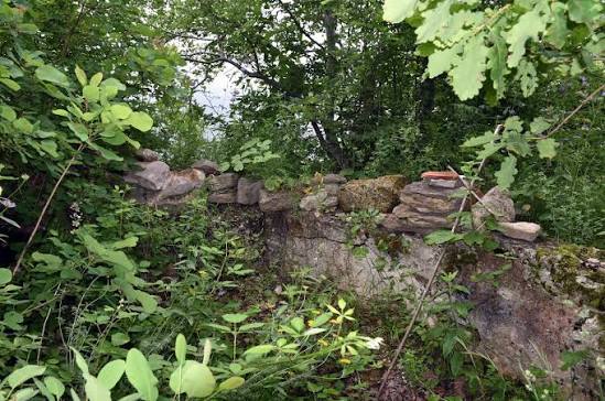 Фото ЭКО-Глэмпинг БУНГАЛО 143