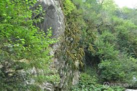 Фото ЭКО-Глэмпинг БУНГАЛО 131