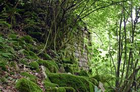 Фото ЭКО-Глэмпинг БУНГАЛО 130