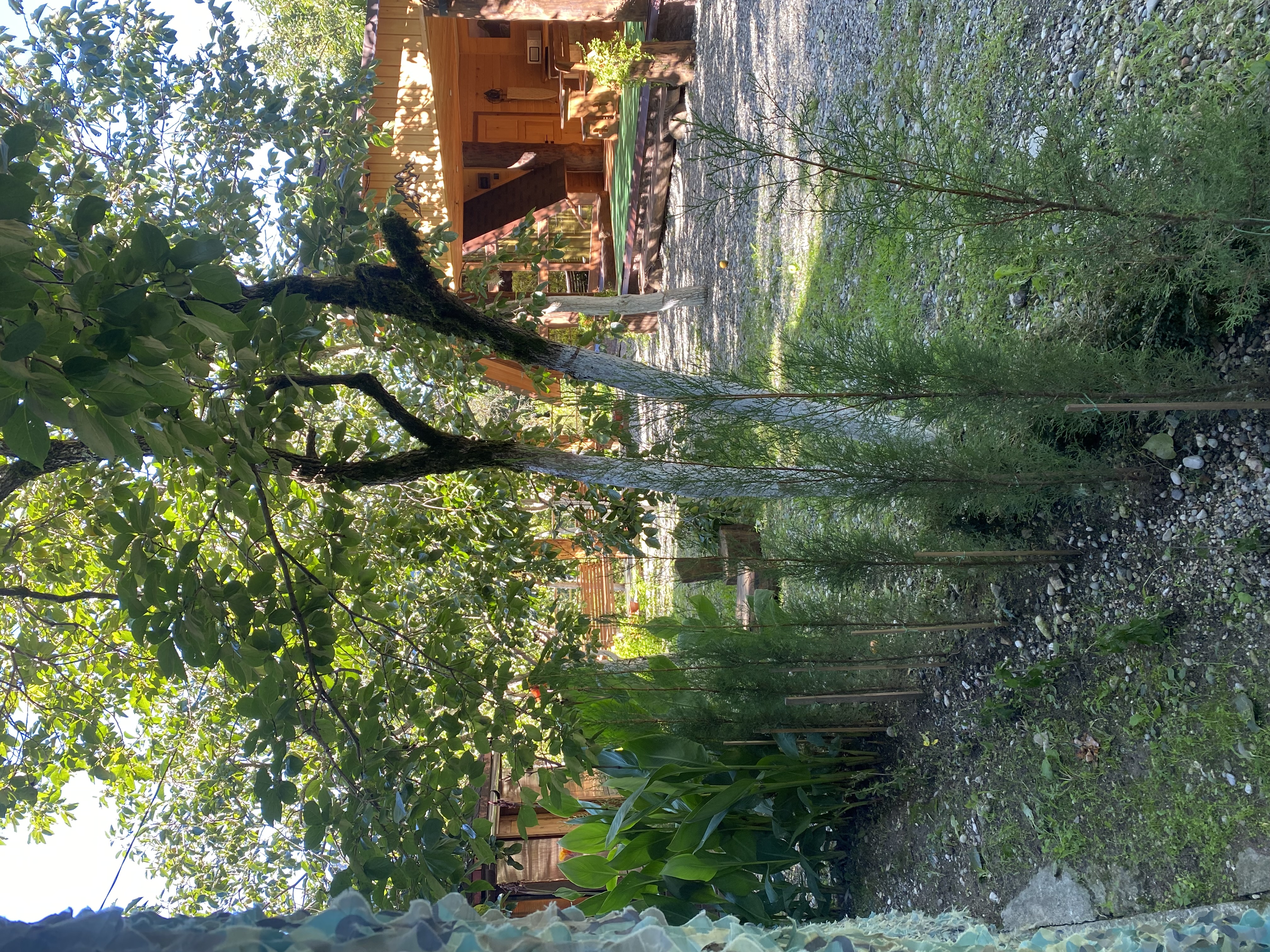 Фото ЭКО-Глэмпинг БУНГАЛО 147