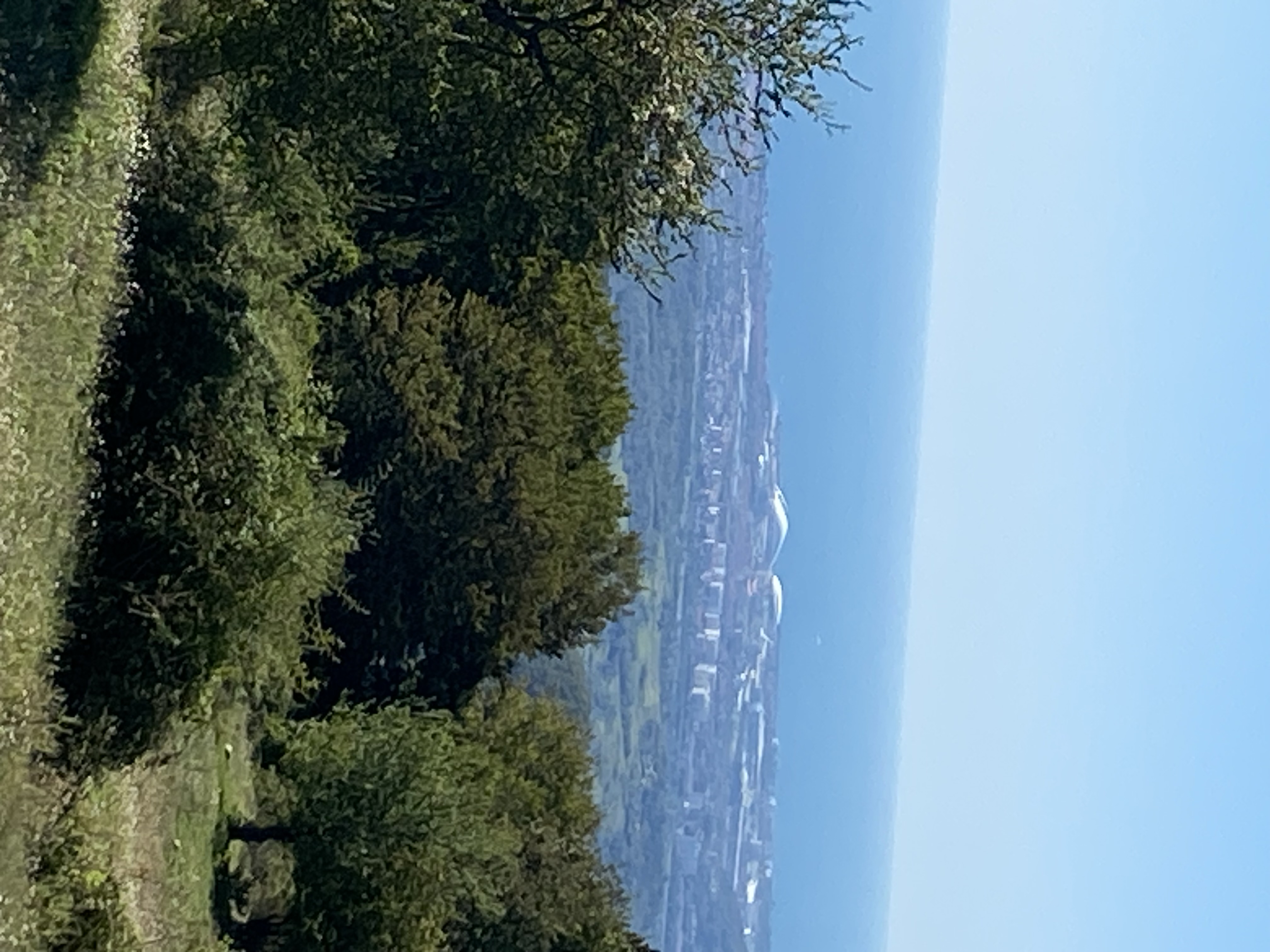 Фото ЭКО-Глэмпинг БУНГАЛО 116