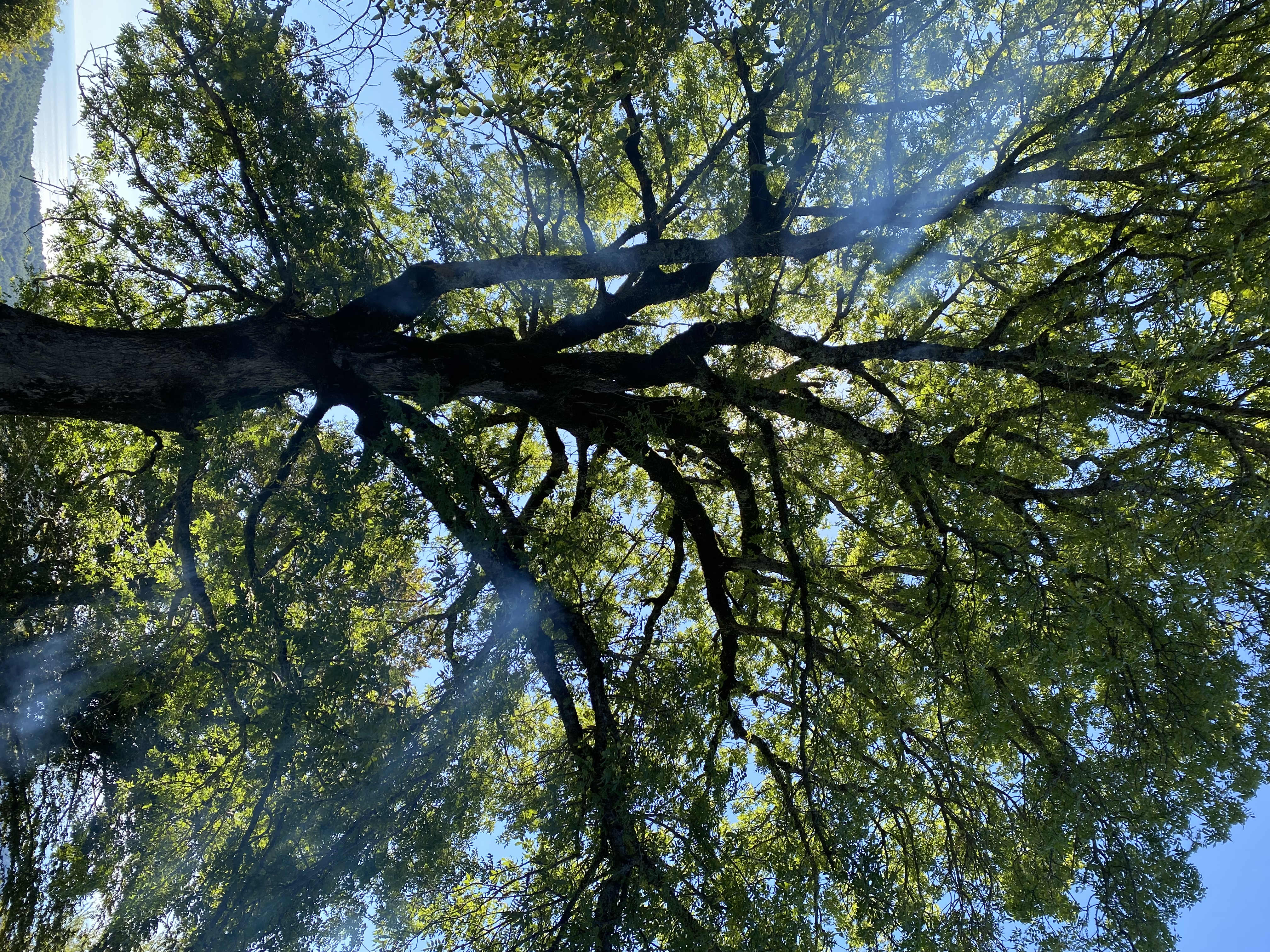 Фото ЭКО-Глэмпинг БУНГАЛО 87