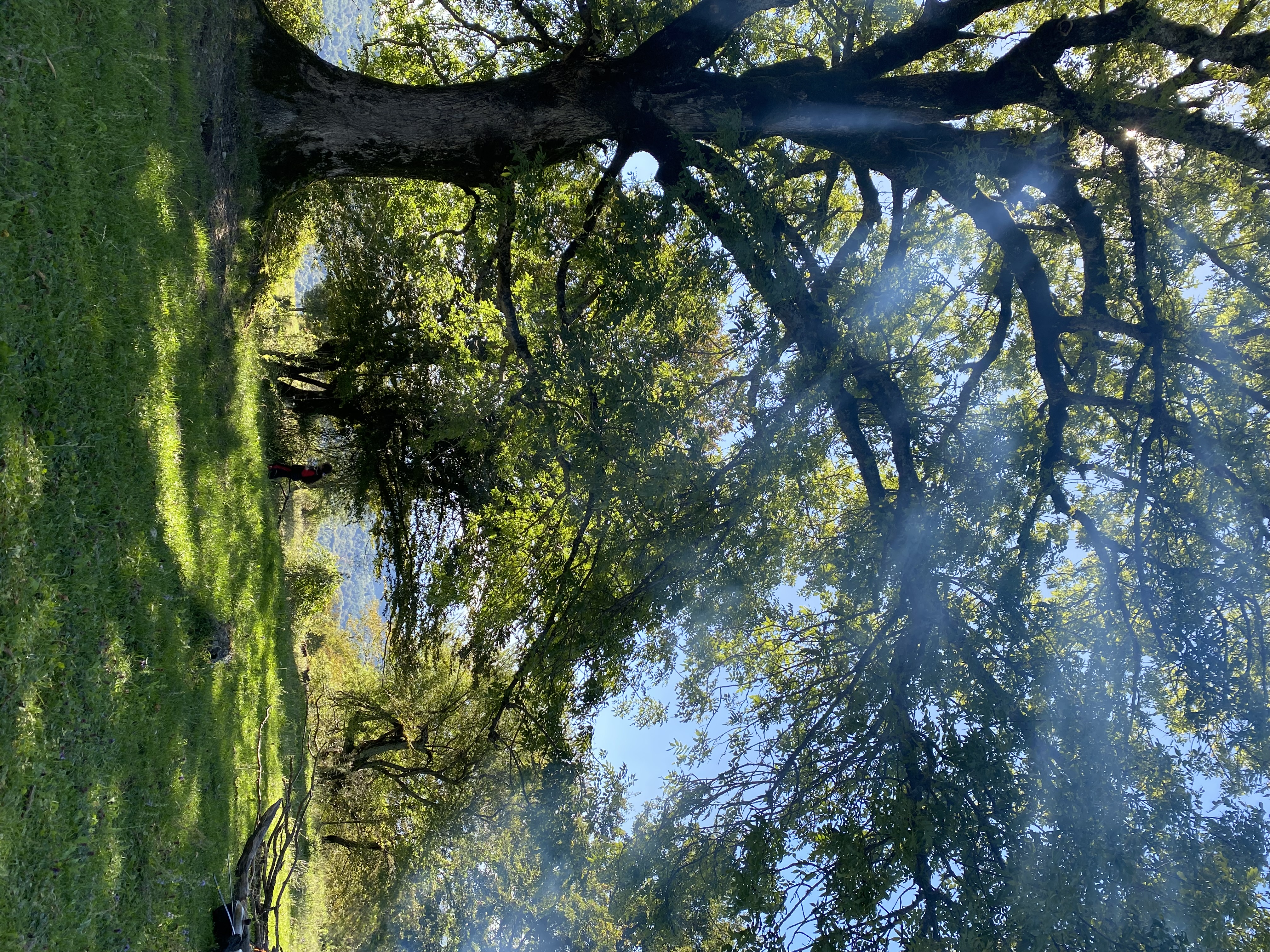 Фото ЭКО-Глэмпинг БУНГАЛО 117