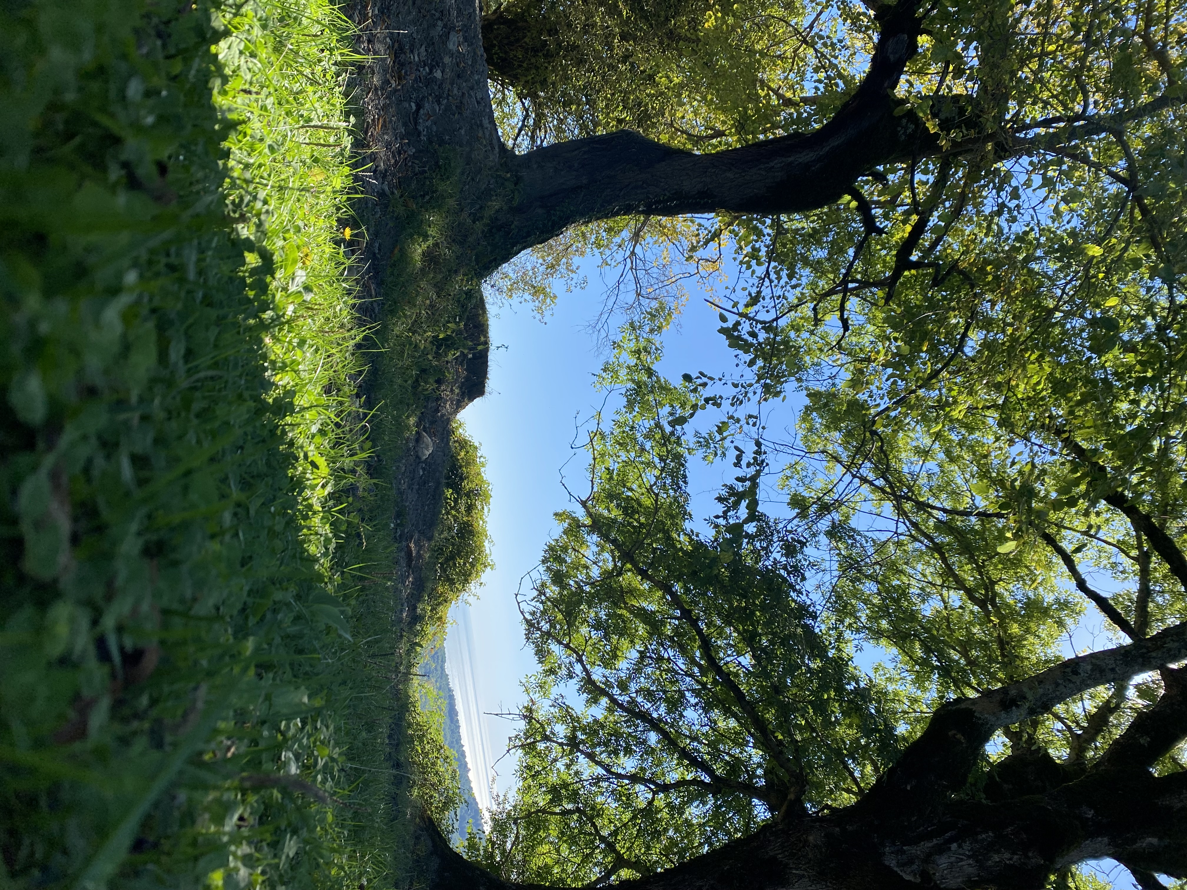 Фото ЭКО-Глэмпинг БУНГАЛО 148