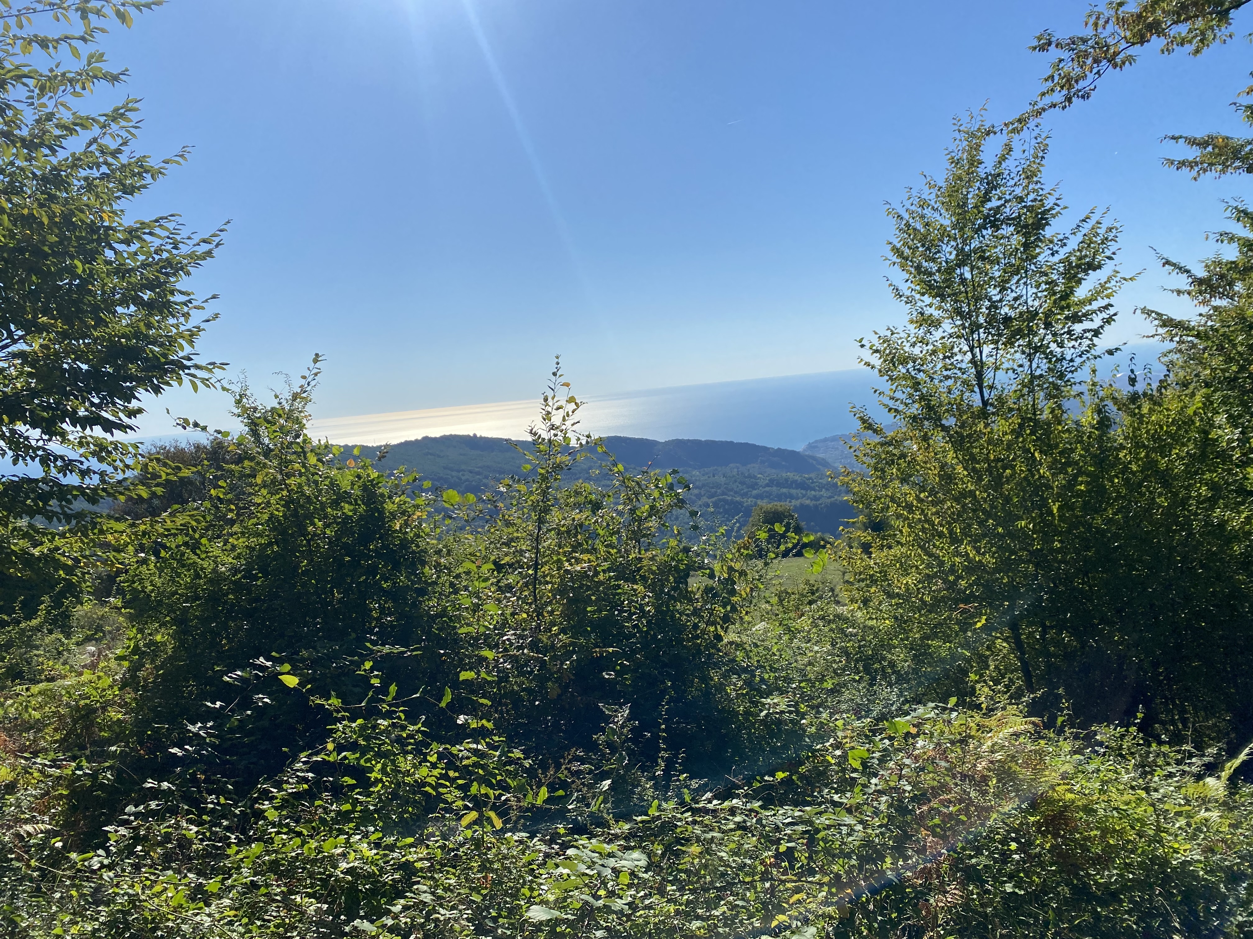 Фото ЭКО-Глэмпинг БУНГАЛО 88