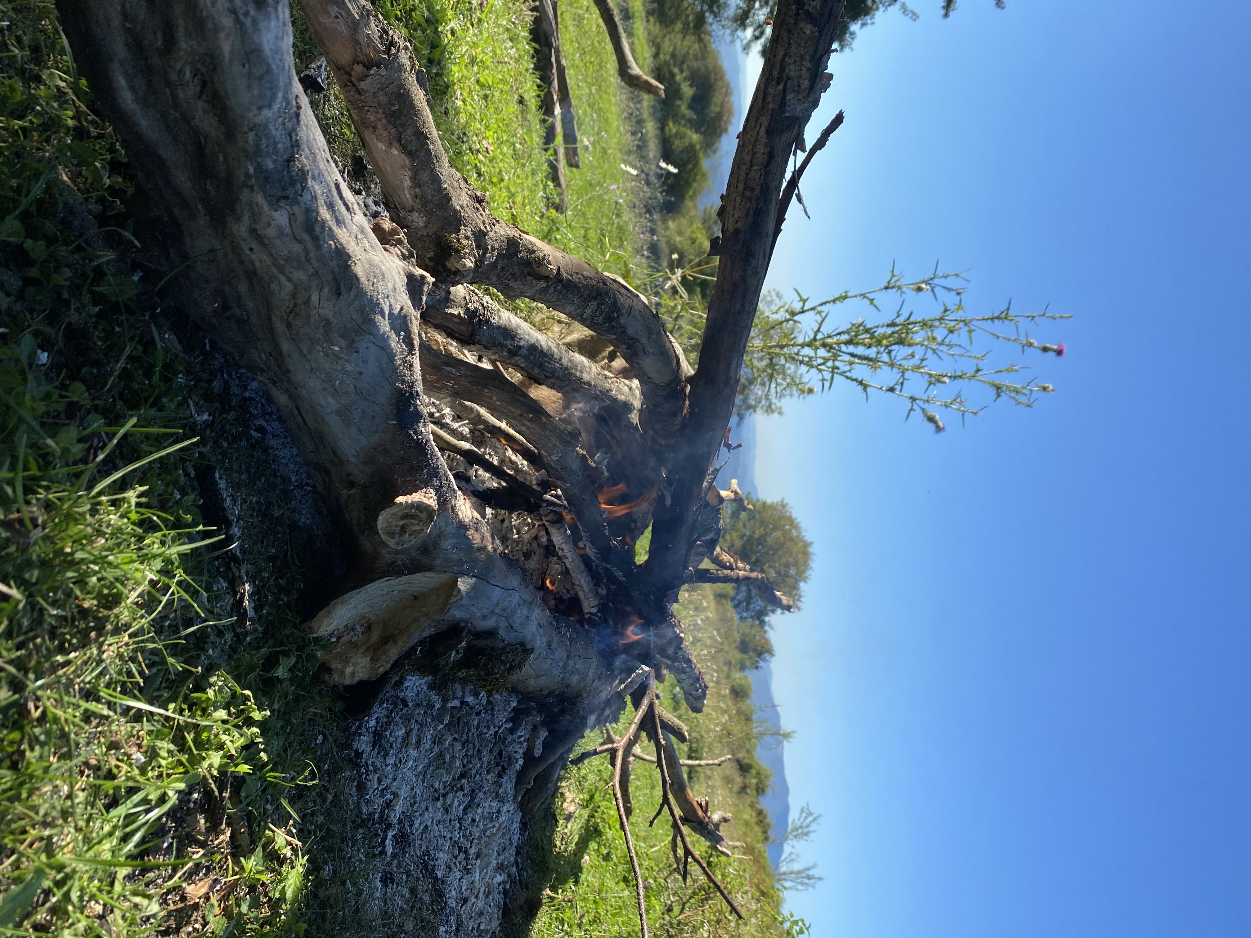 Фото ЭКО-Глэмпинг БУНГАЛО 79