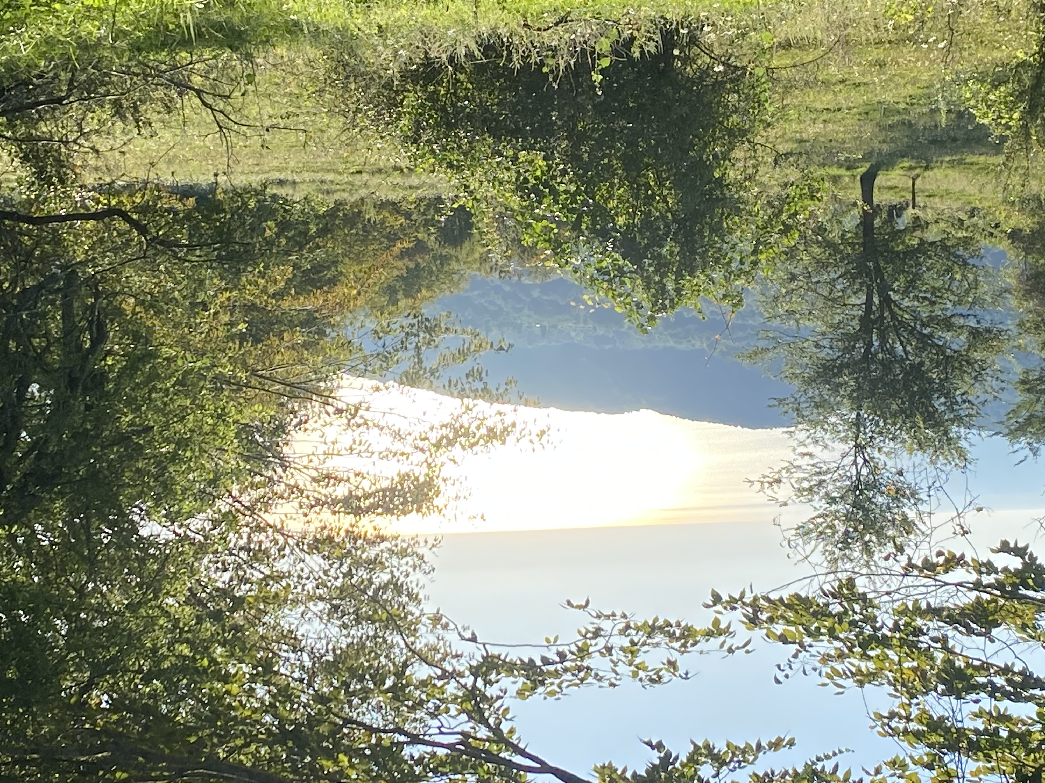 Фото ЭКО-Глэмпинг БУНГАЛО 90