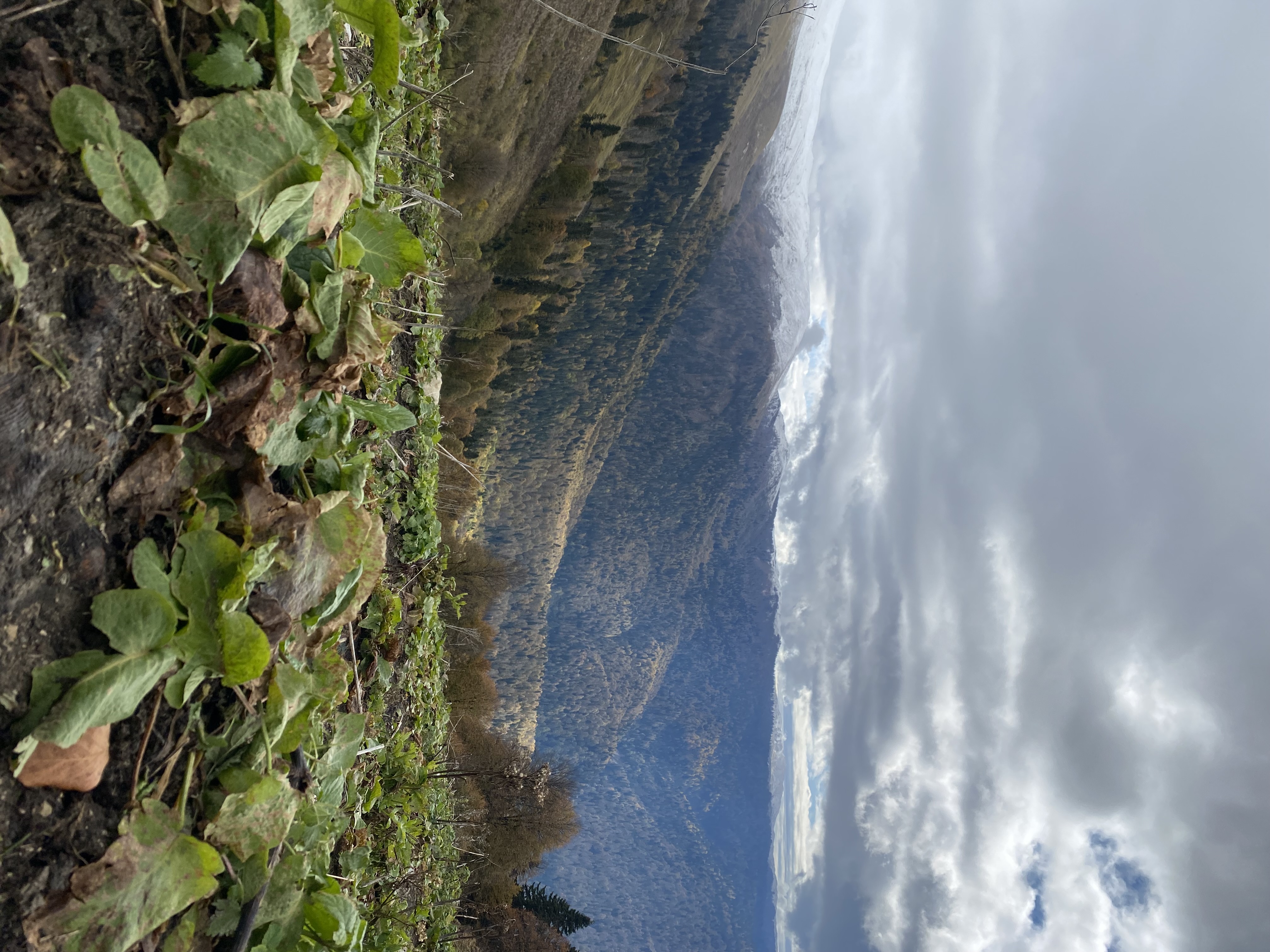 Фото ЭКО-Глэмпинг БУНГАЛО 94