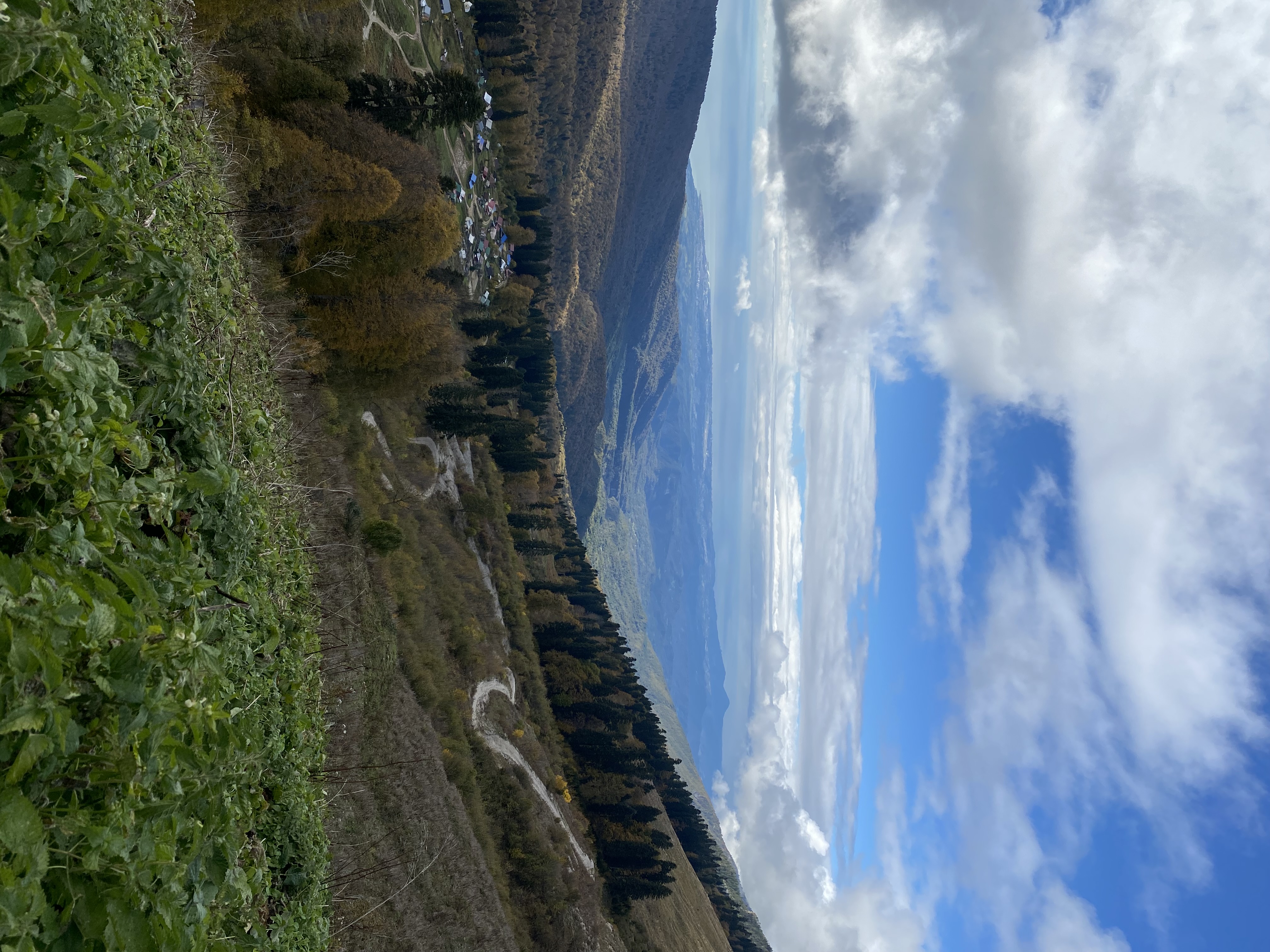 Фото ЭКО-Глэмпинг БУНГАЛО 95