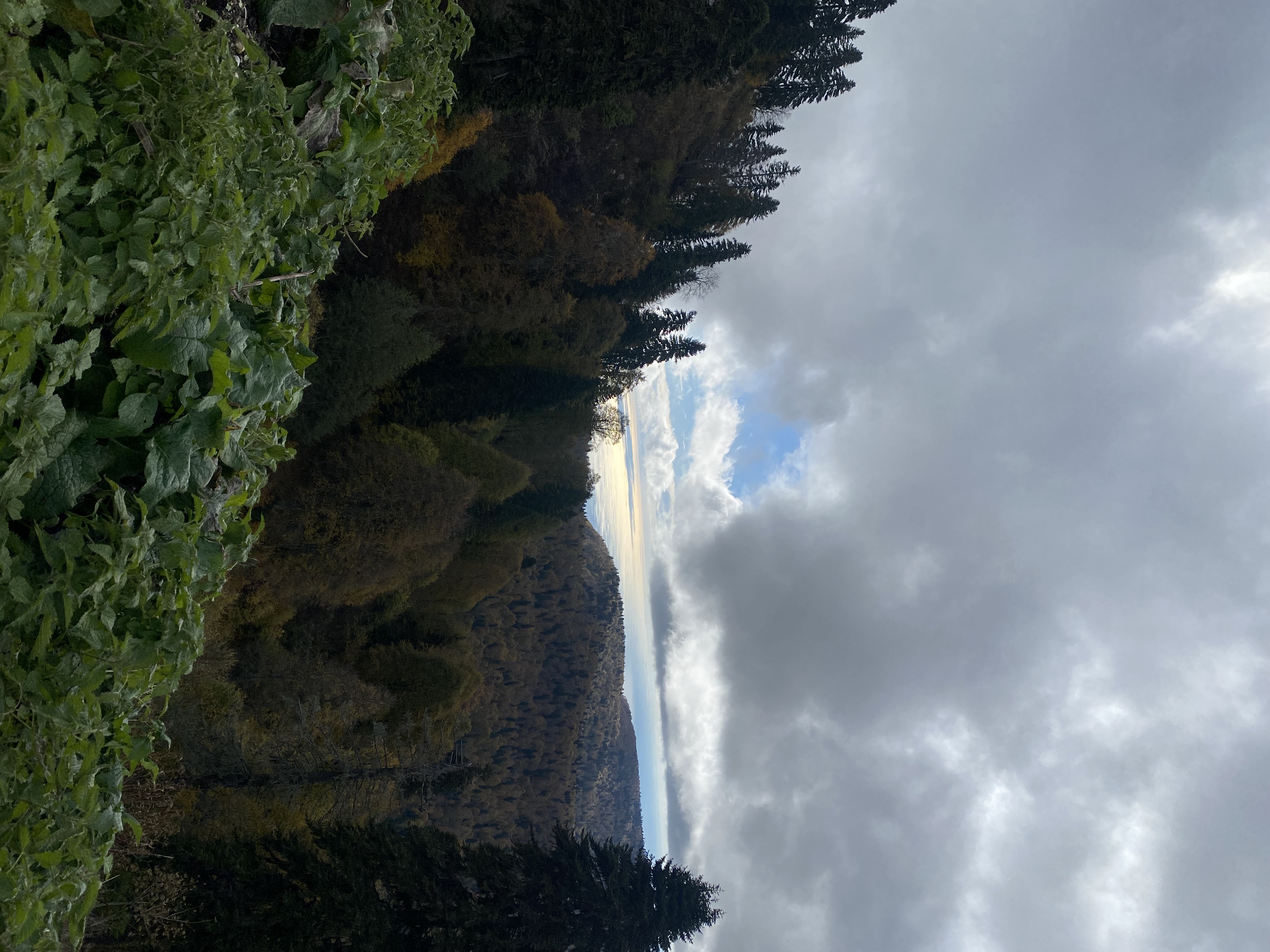 Фото ЭКО-Глэмпинг БУНГАЛО 80