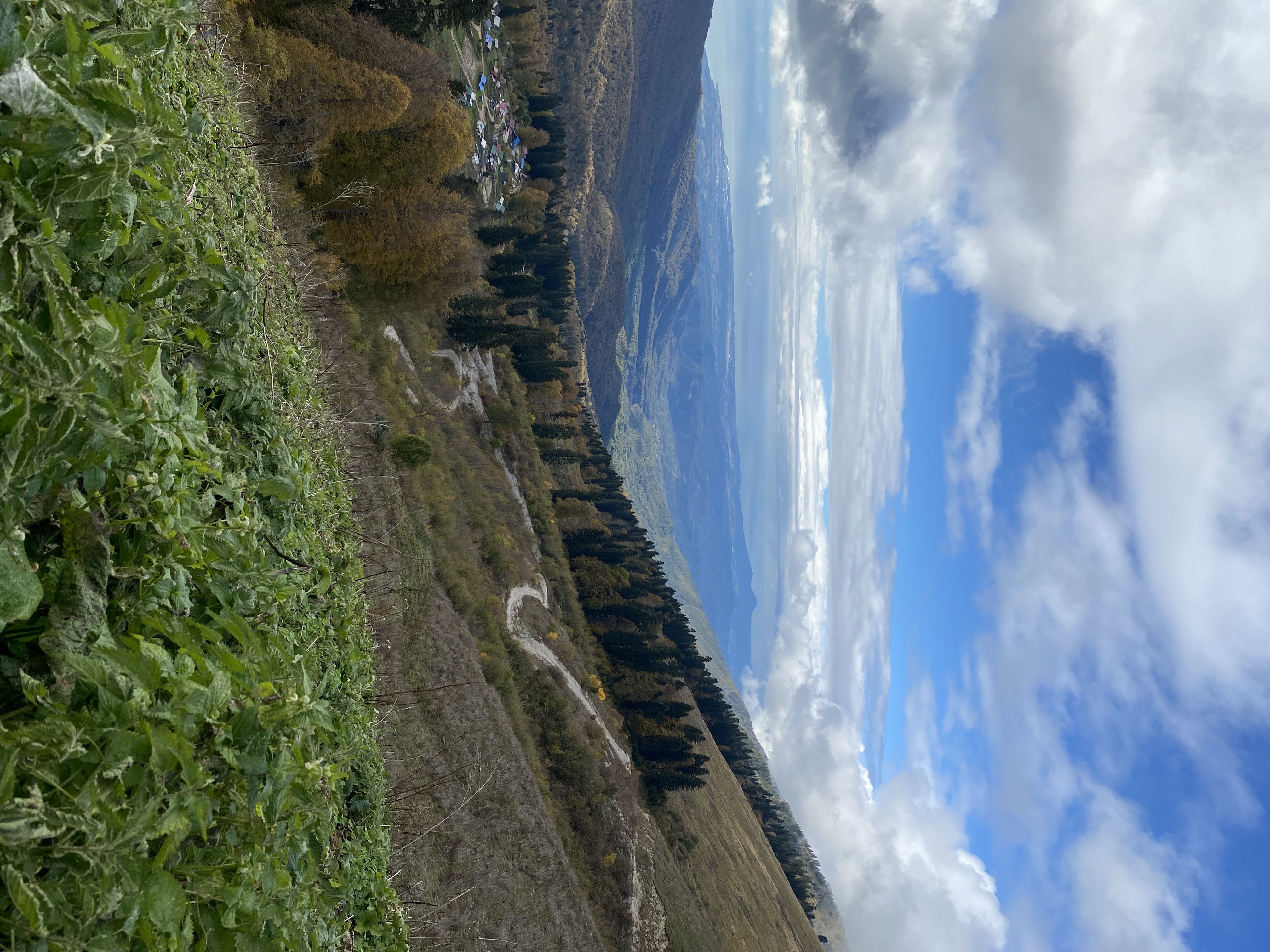 Фото ЭКО-Глэмпинг БУНГАЛО 81