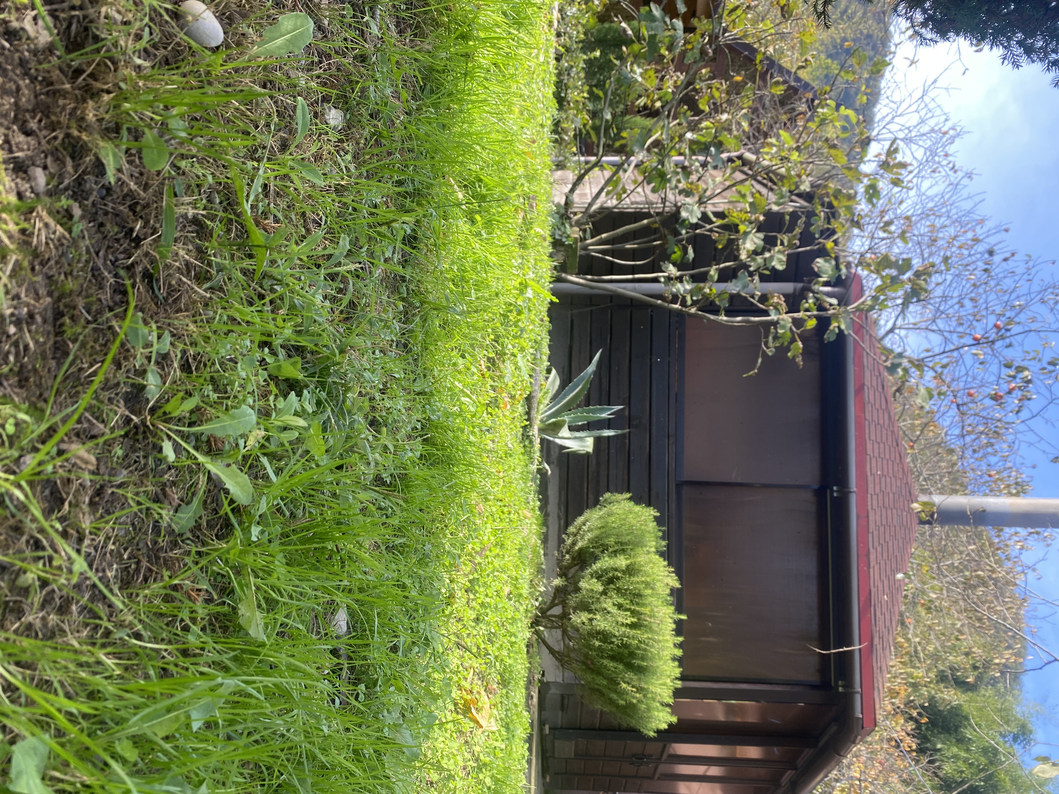 Фото ЭКО-Глэмпинг БУНГАЛО 15