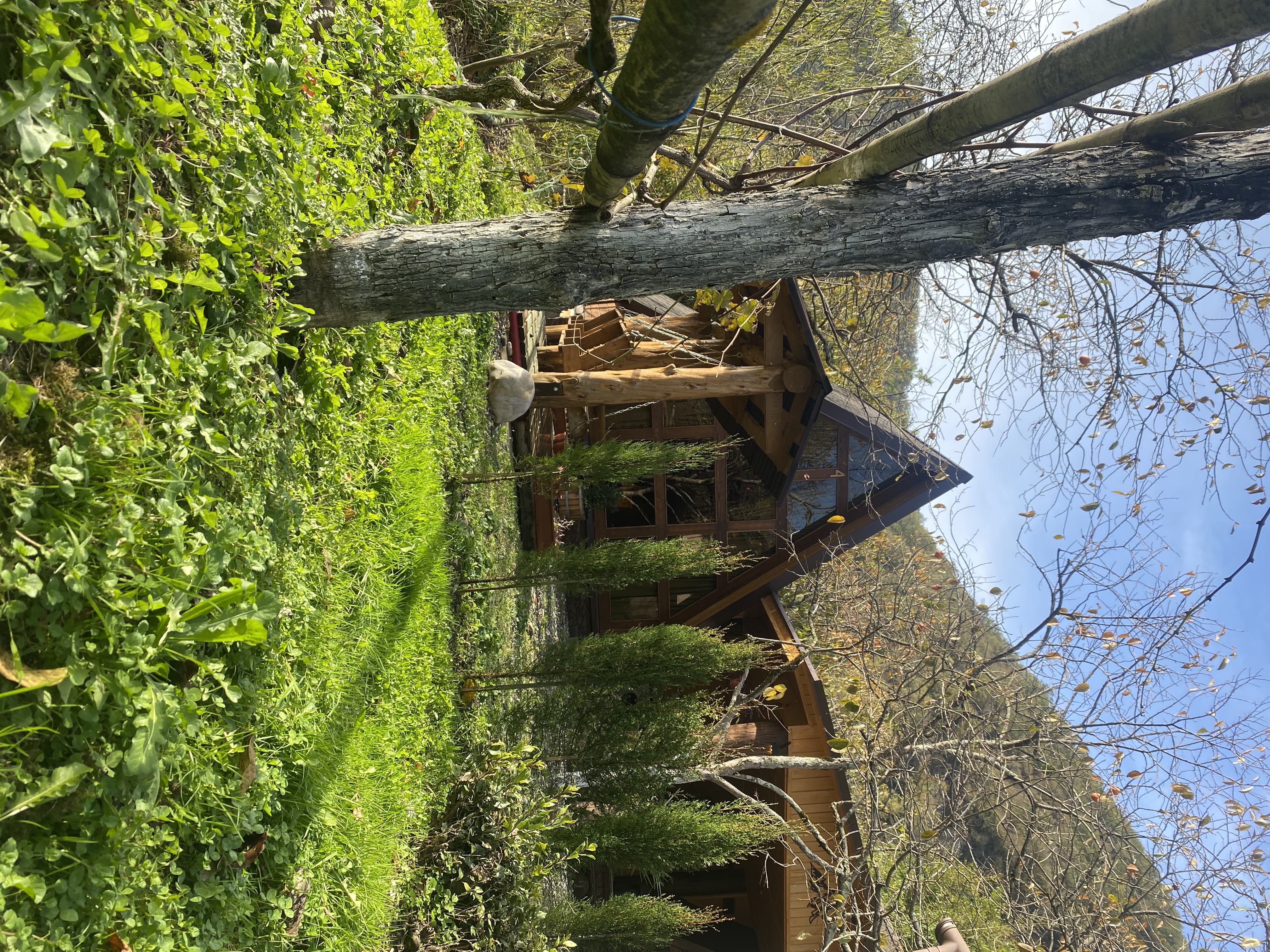 Фото ЭКО-Глэмпинг БУНГАЛО 19