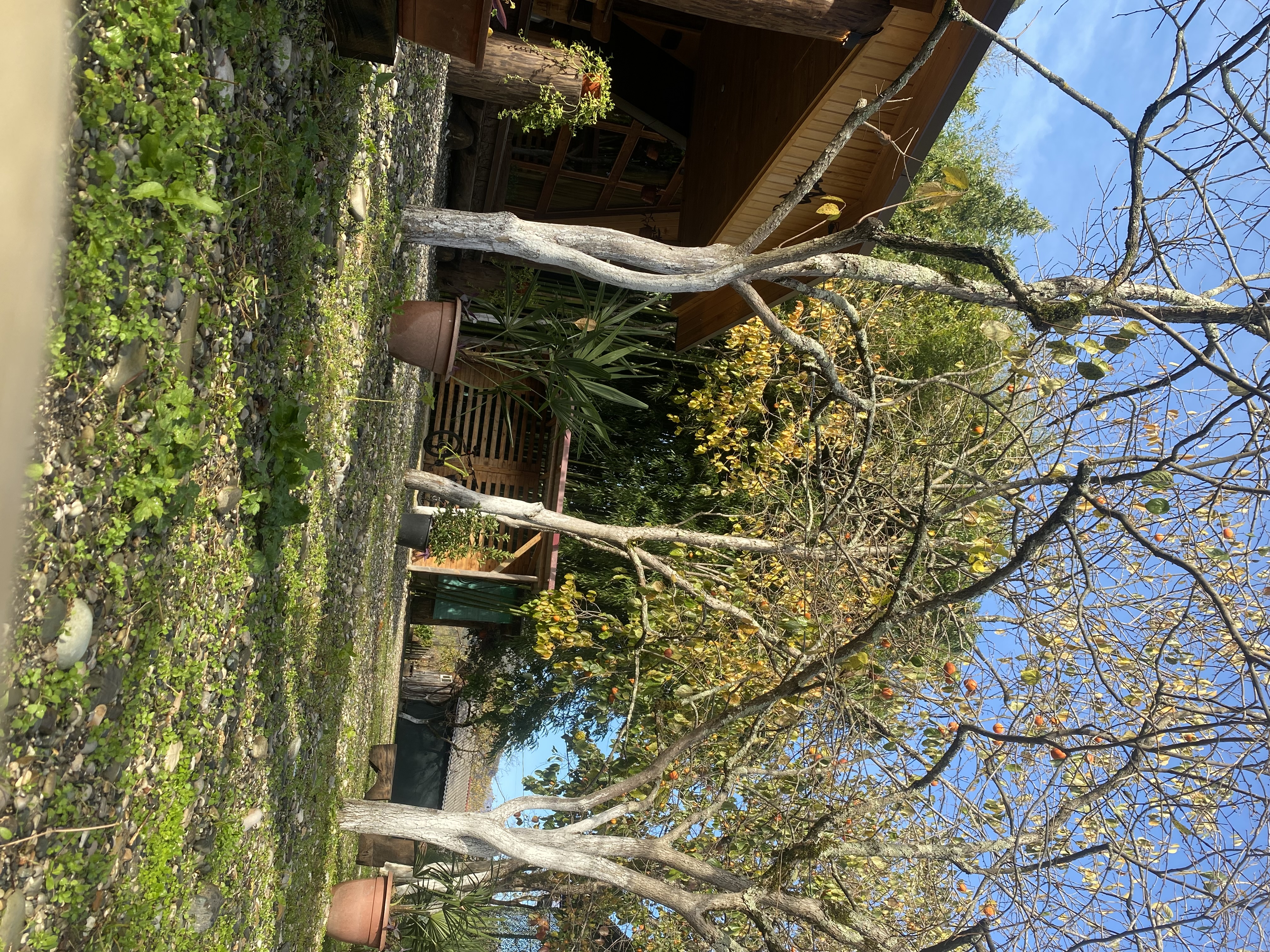 Фото ЭКО-Глэмпинг БУНГАЛО 149