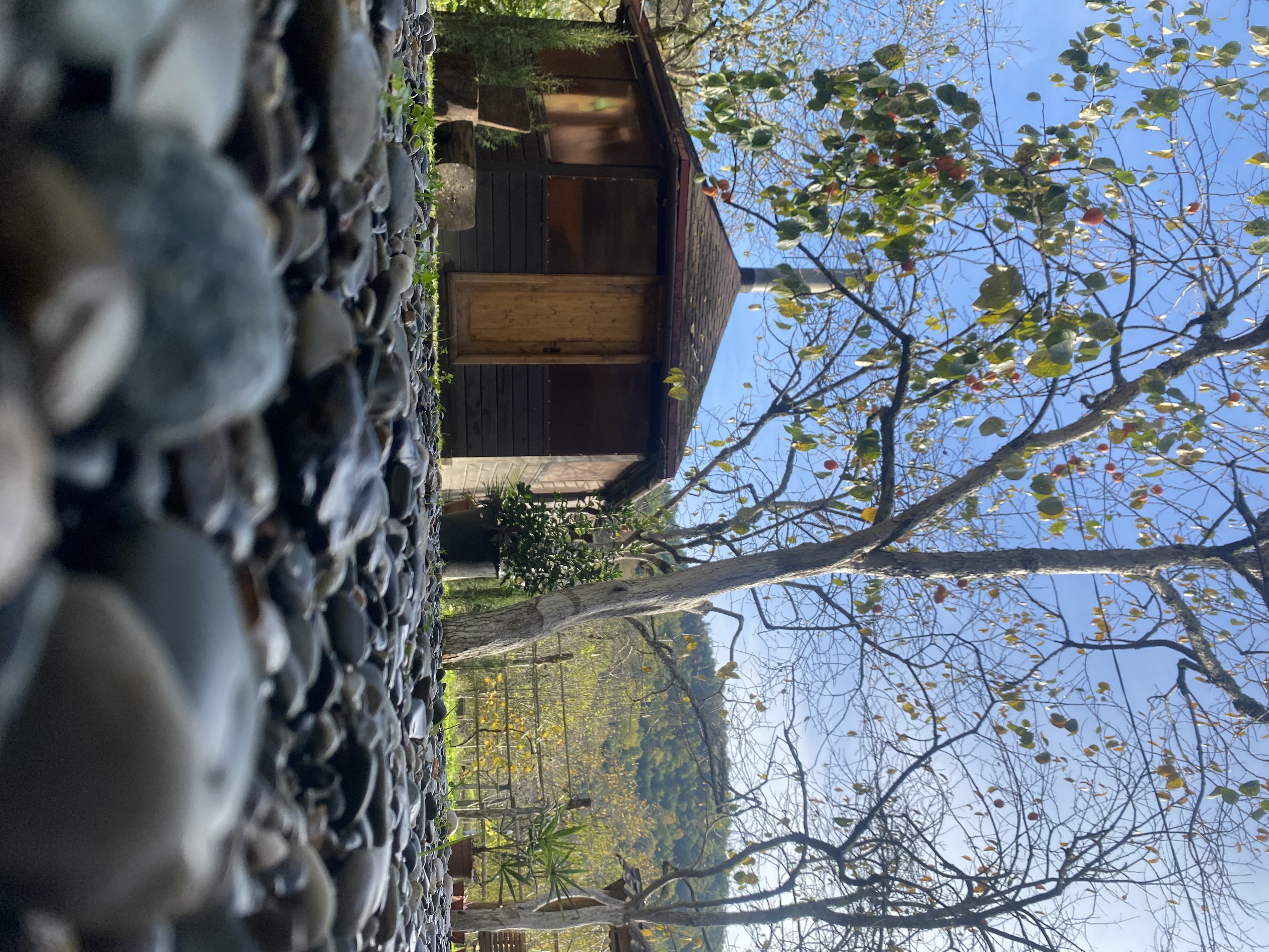 Фото ЭКО-Глэмпинг БУНГАЛО 158