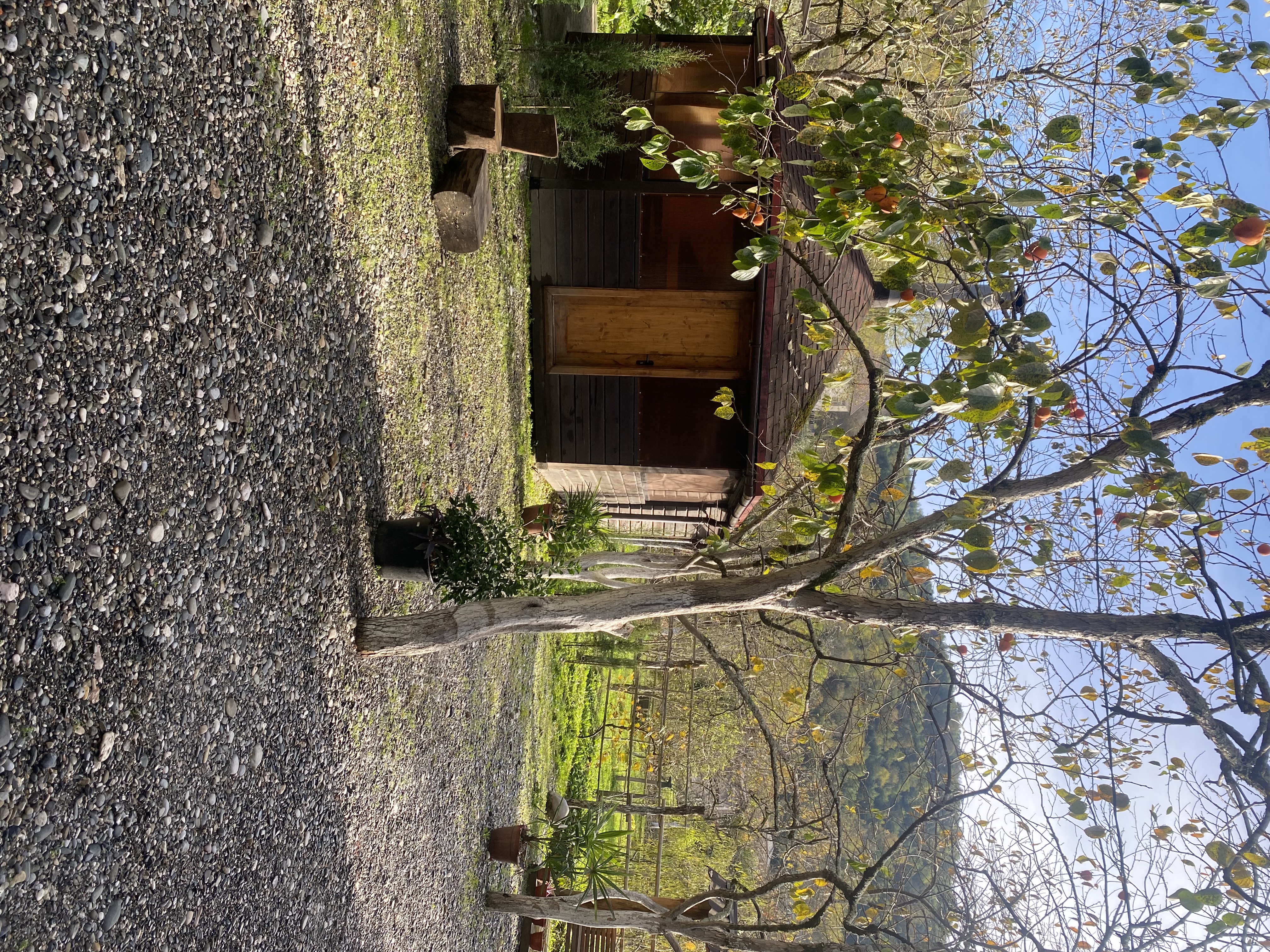 Фото ЭКО-Глэмпинг БУНГАЛО 84