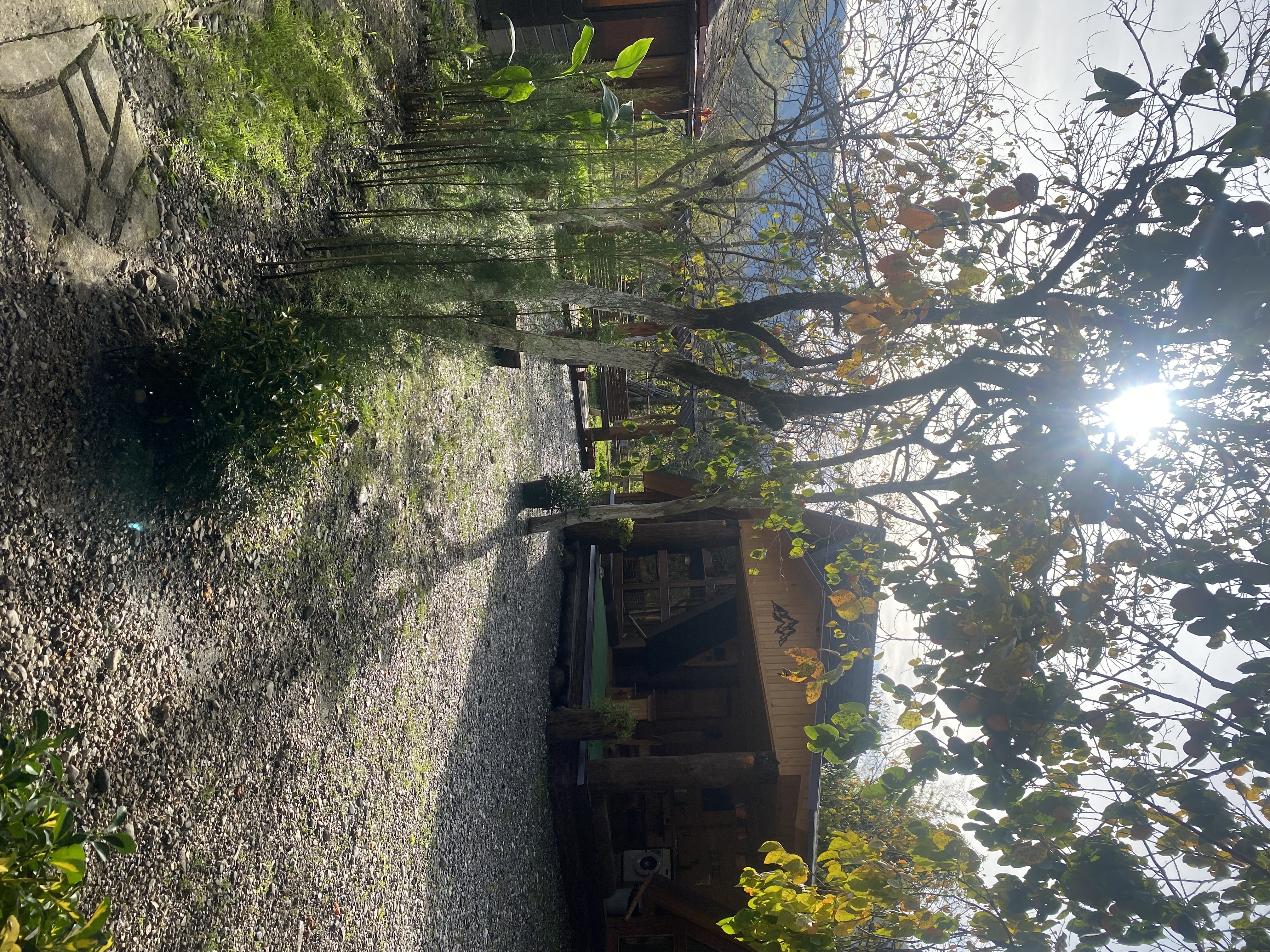 Фото ЭКО-Глэмпинг БУНГАЛО 150