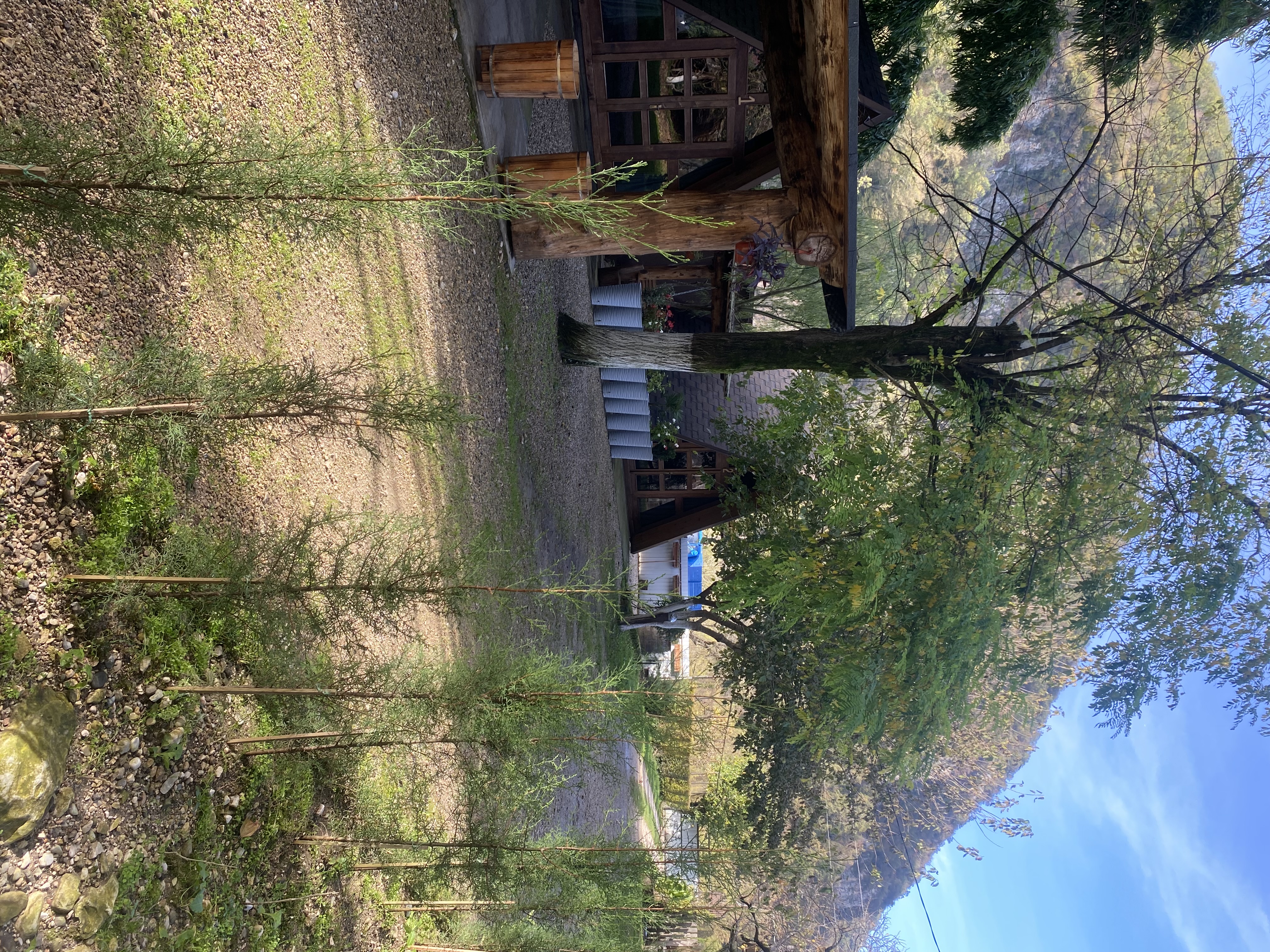 Фото ЭКО-Глэмпинг БУНГАЛО 151