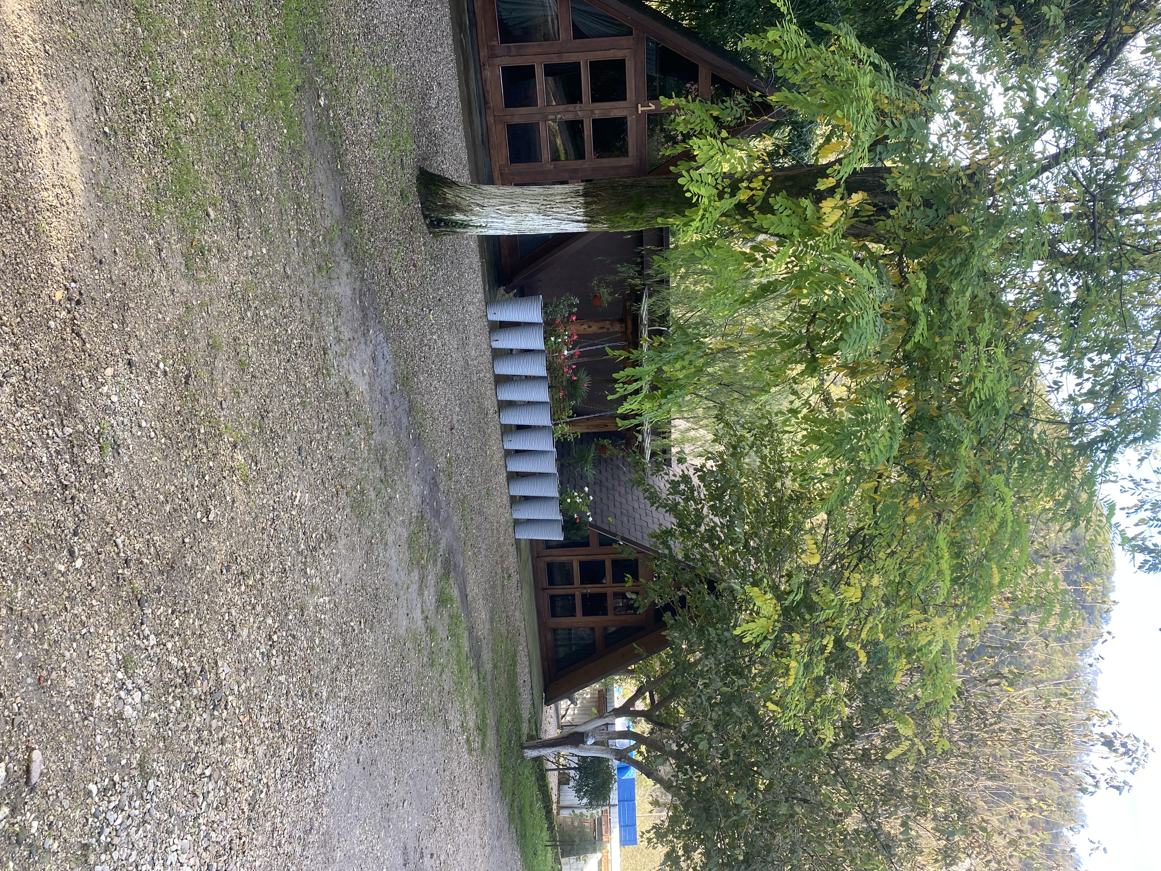 Фото ЭКО-Глэмпинг БУНГАЛО 152