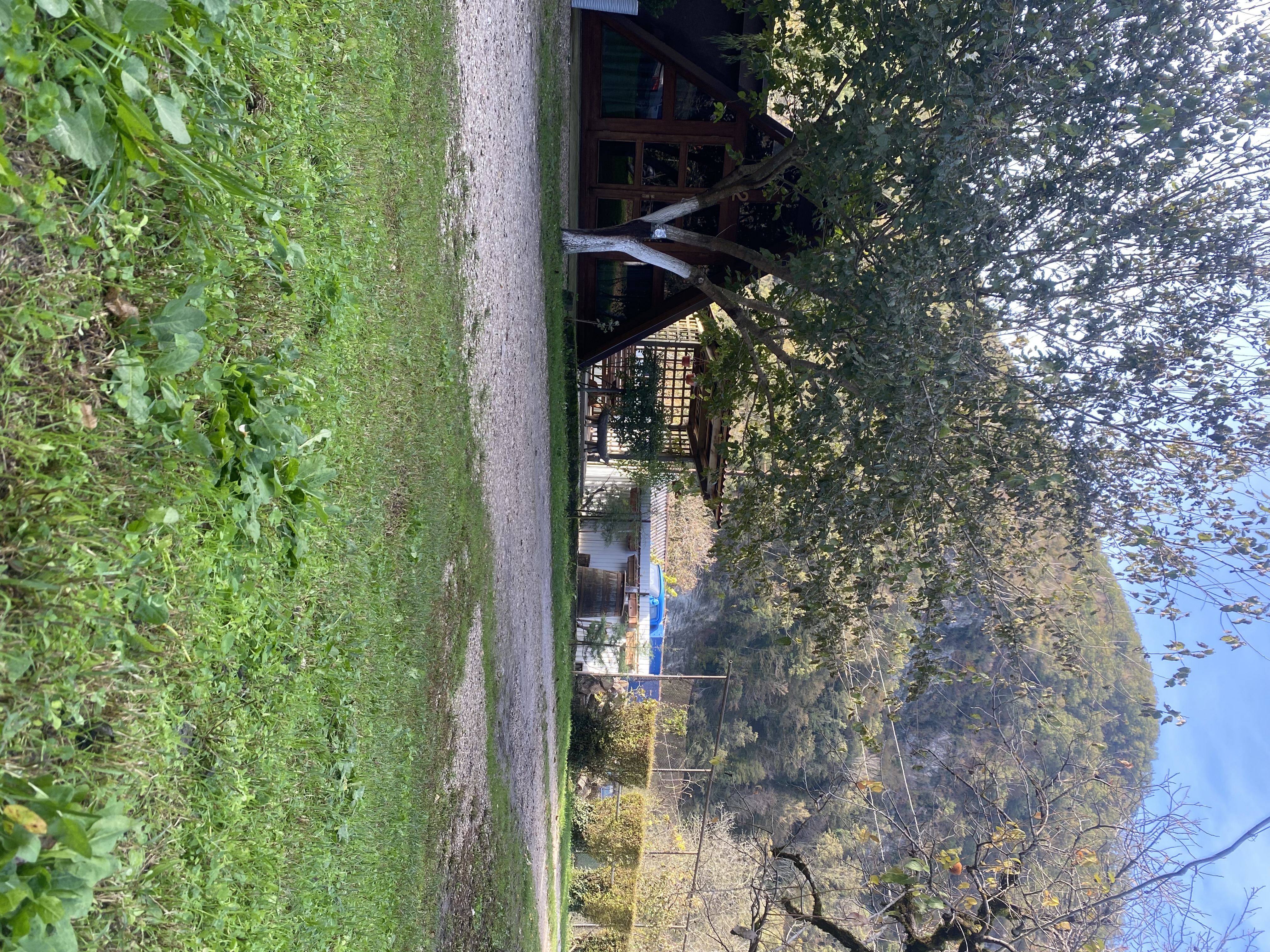 Фото ЭКО-Глэмпинг БУНГАЛО 159