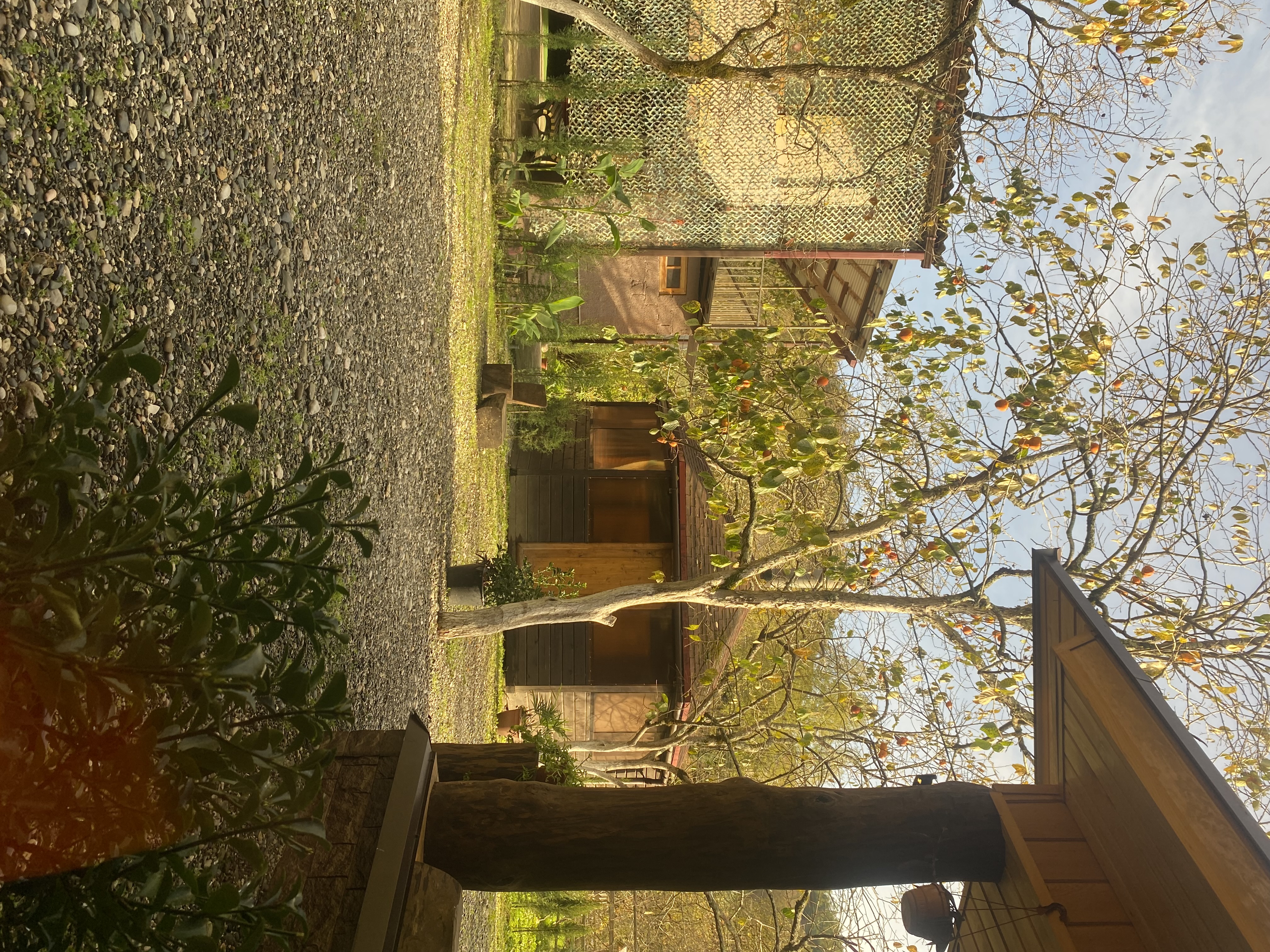 Фото ЭКО-Глэмпинг БУНГАЛО 163