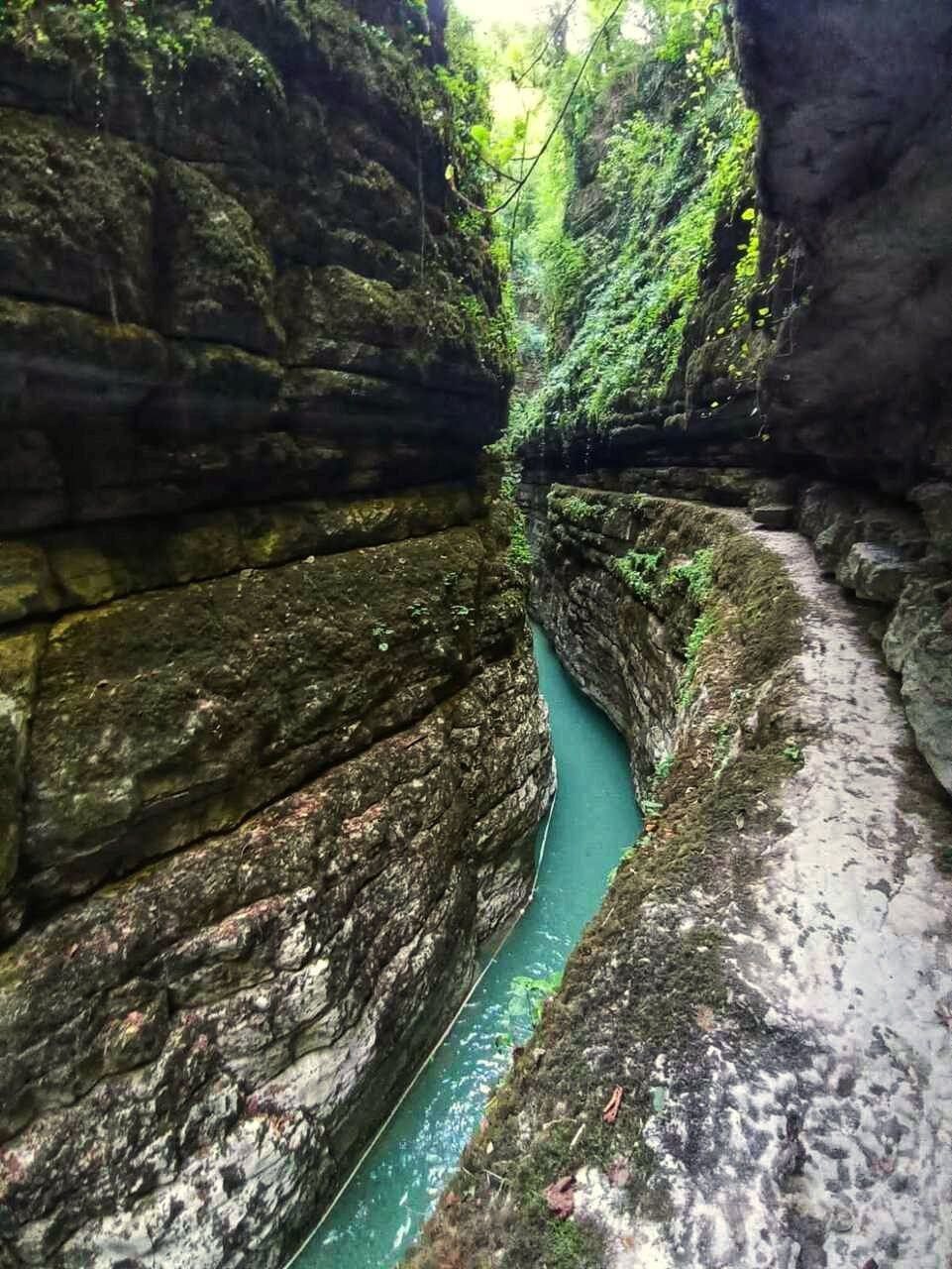 Фото ЭКО-Глэмпинг БУНГАЛО 13