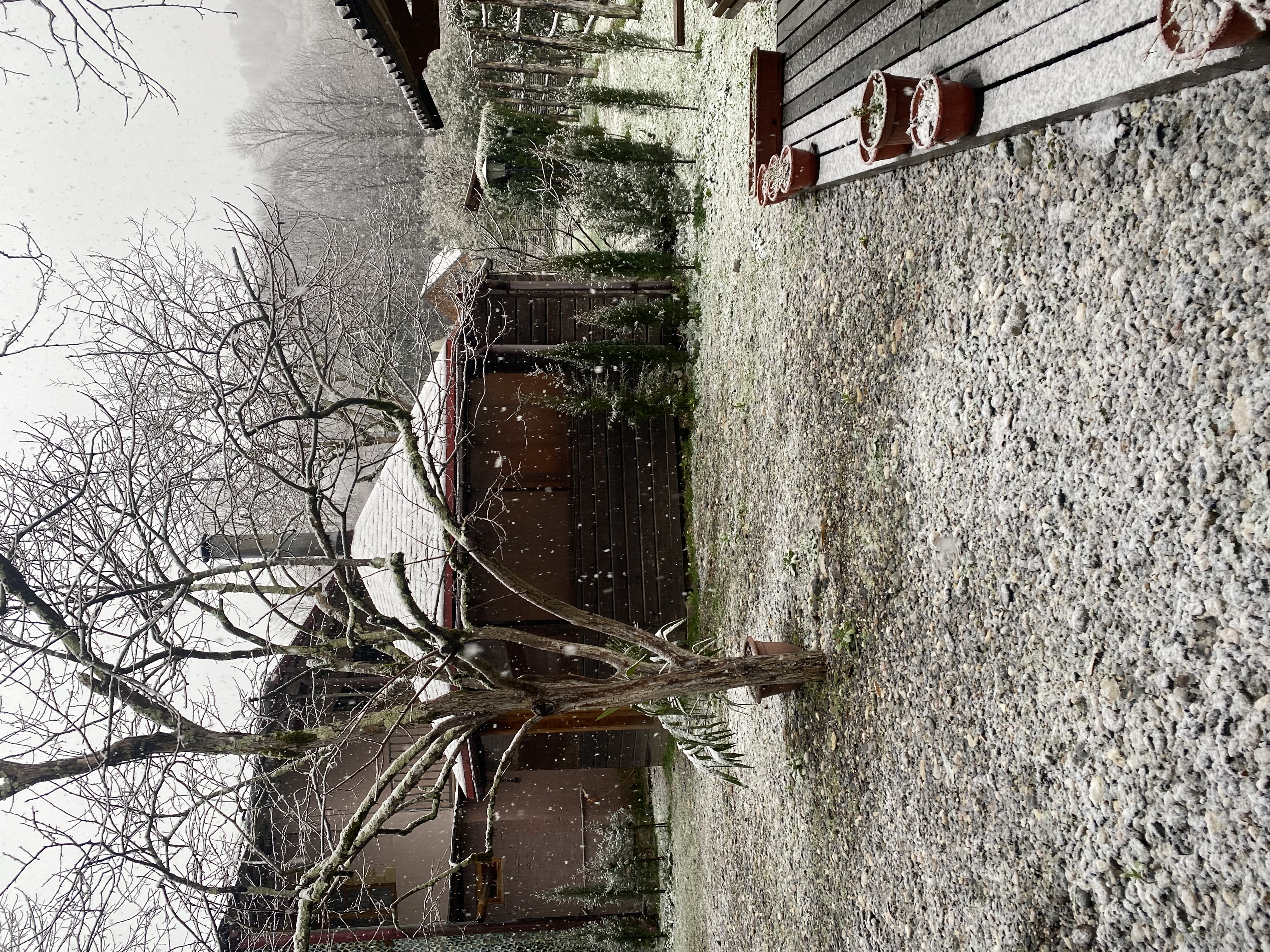 Фото ЭКО-Глэмпинг БУНГАЛО 6