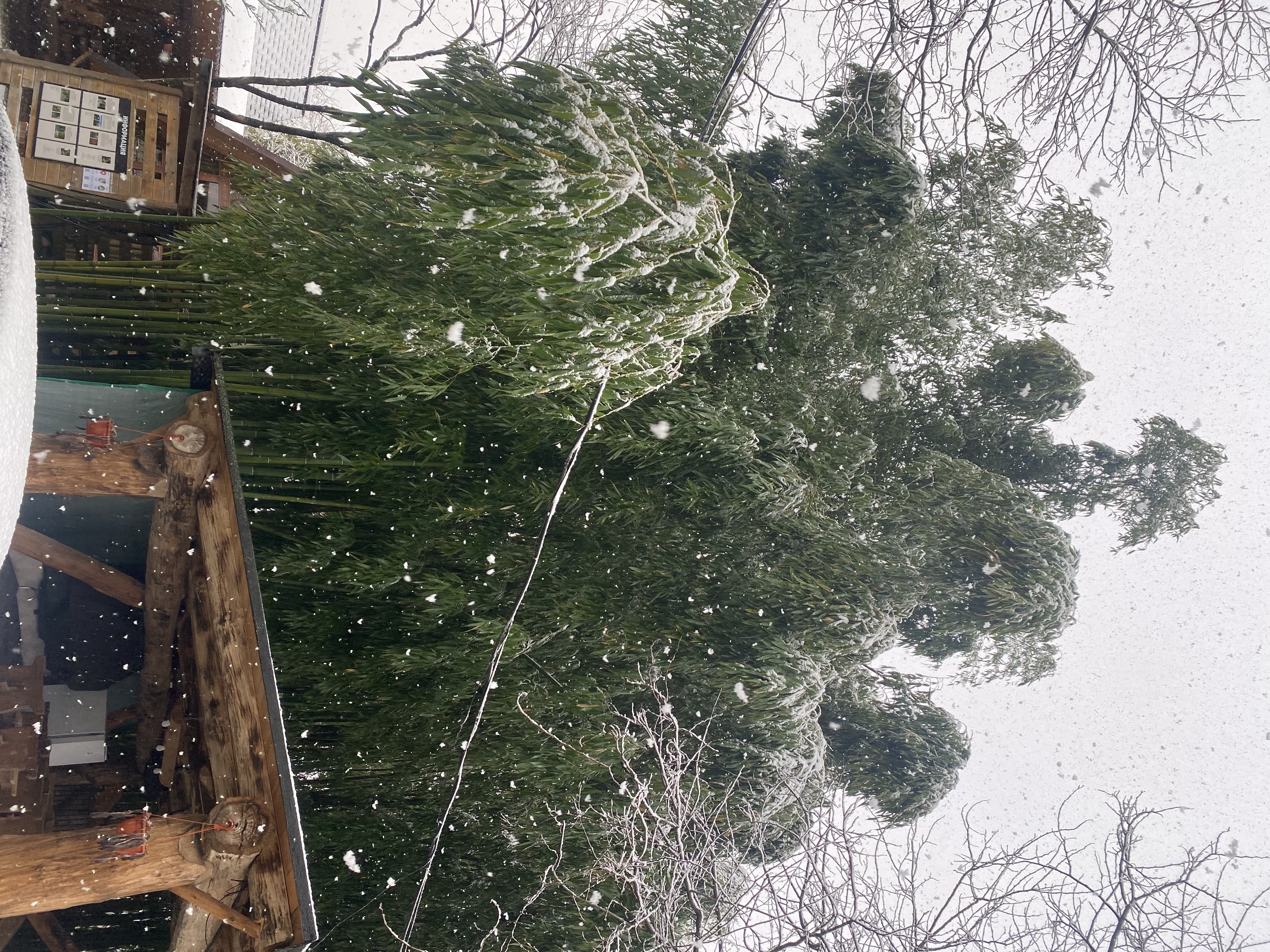 Фото ЭКО-Глэмпинг БУНГАЛО 5